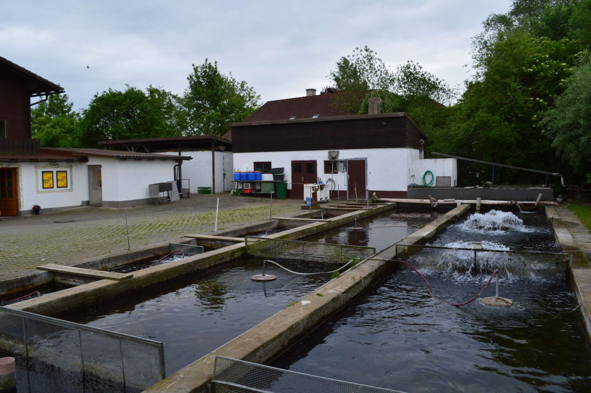 Fischbecken und Räucherhalle