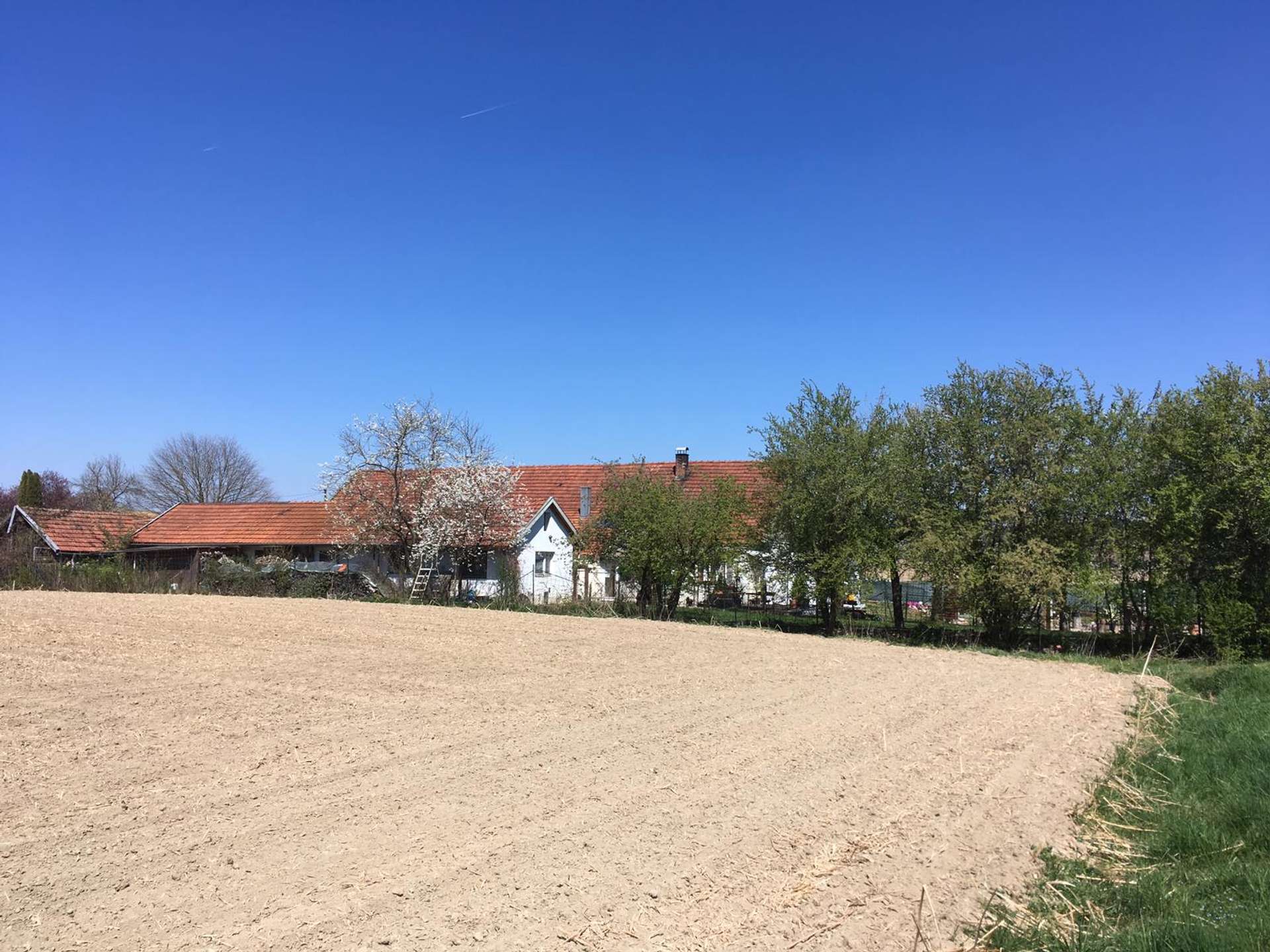 IMG-20190427-WA0019