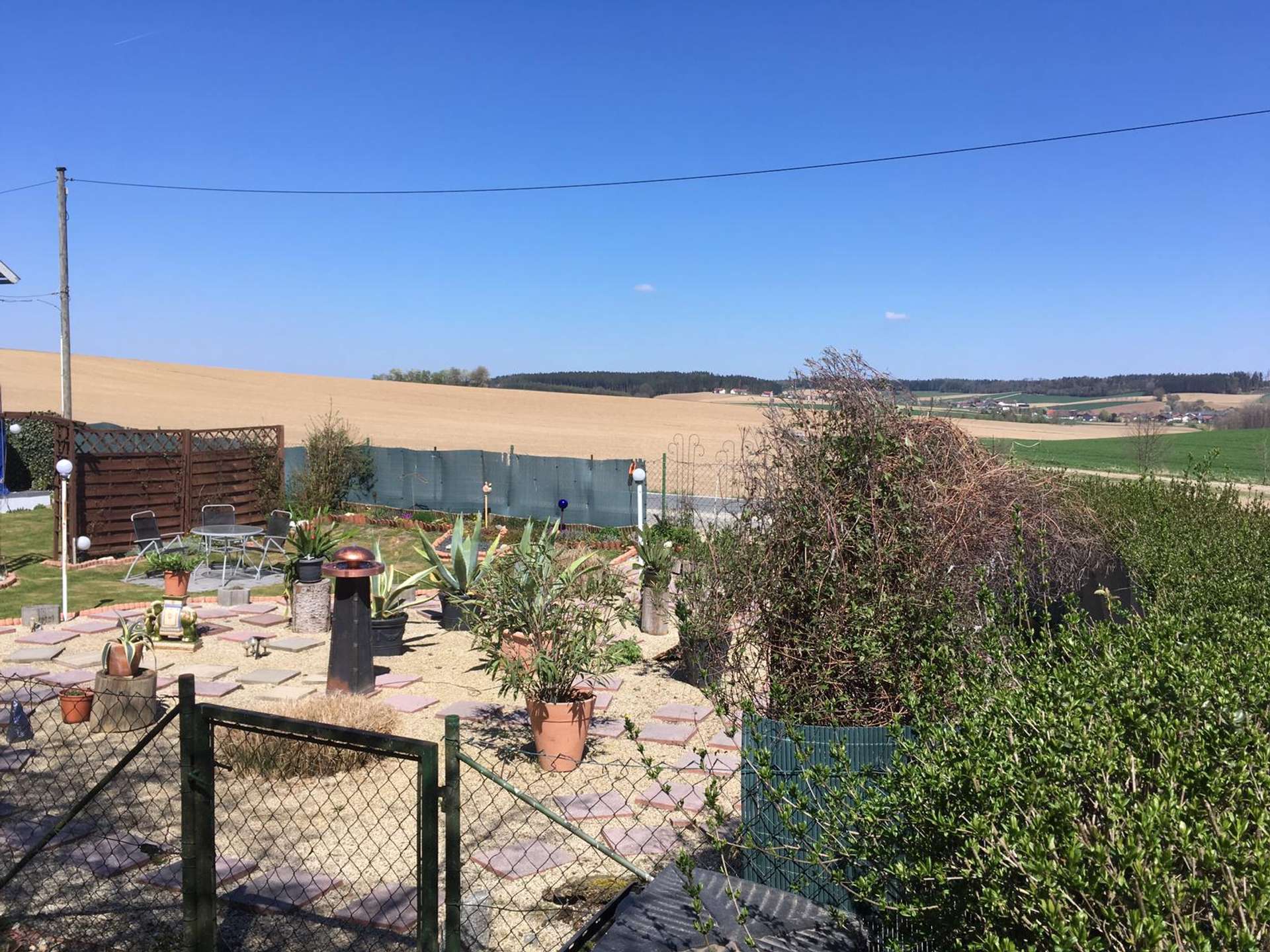 Ausblick
