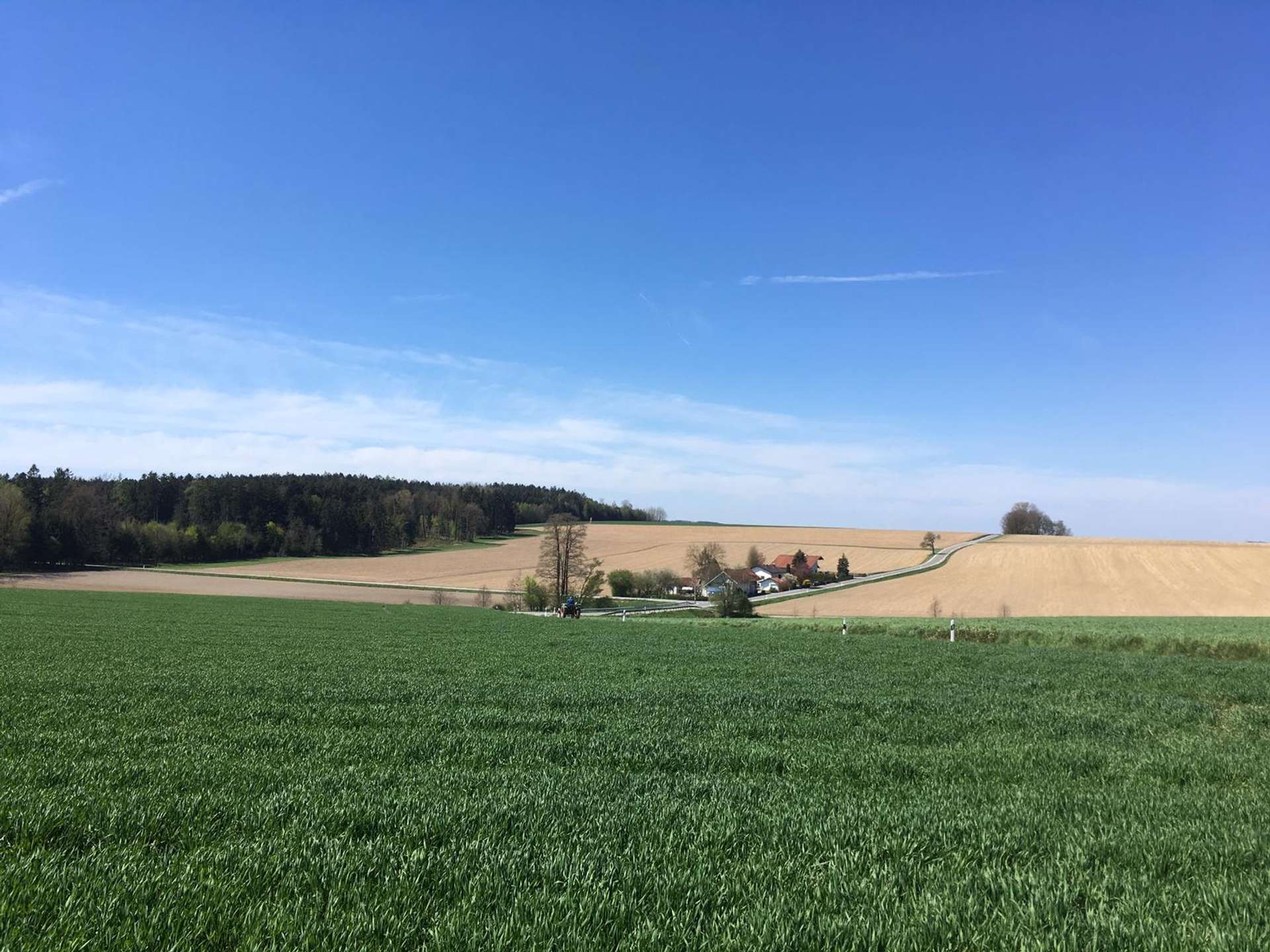 IMG-20190427-WA0022