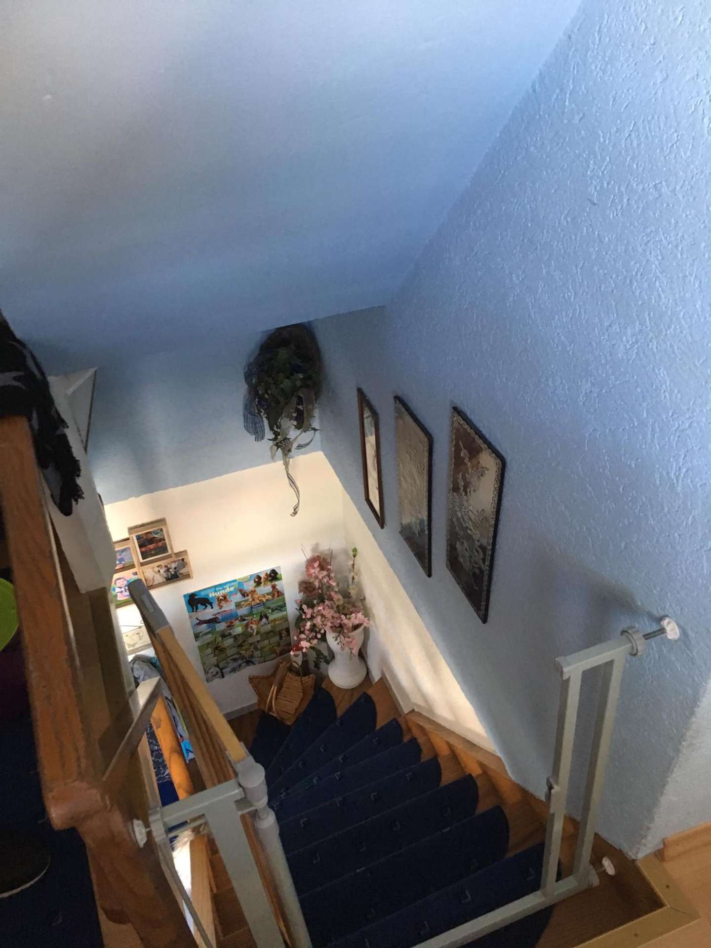 IMG-20190427-WA0007