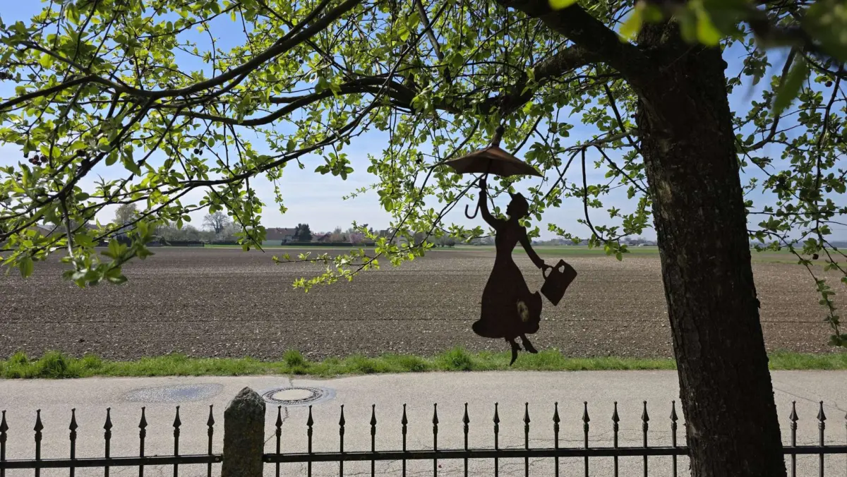 Ausblick