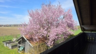 Ausblick Schlafzimmer vom Balkon - Geborgenheit für die ganze Familie – helles, gepflegtes Einfamilienhaus mit Garten
