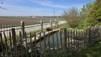 Garten mit Teich