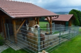 Stall - VERKAUFT!!! Wunderschönes Wohnhaus mit ELW in fast Alleinlage, ideal zur Pferdehaltung