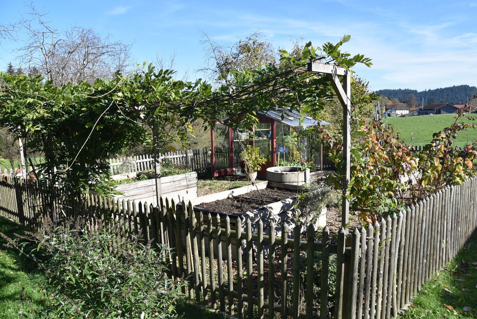 Gemüsegarten