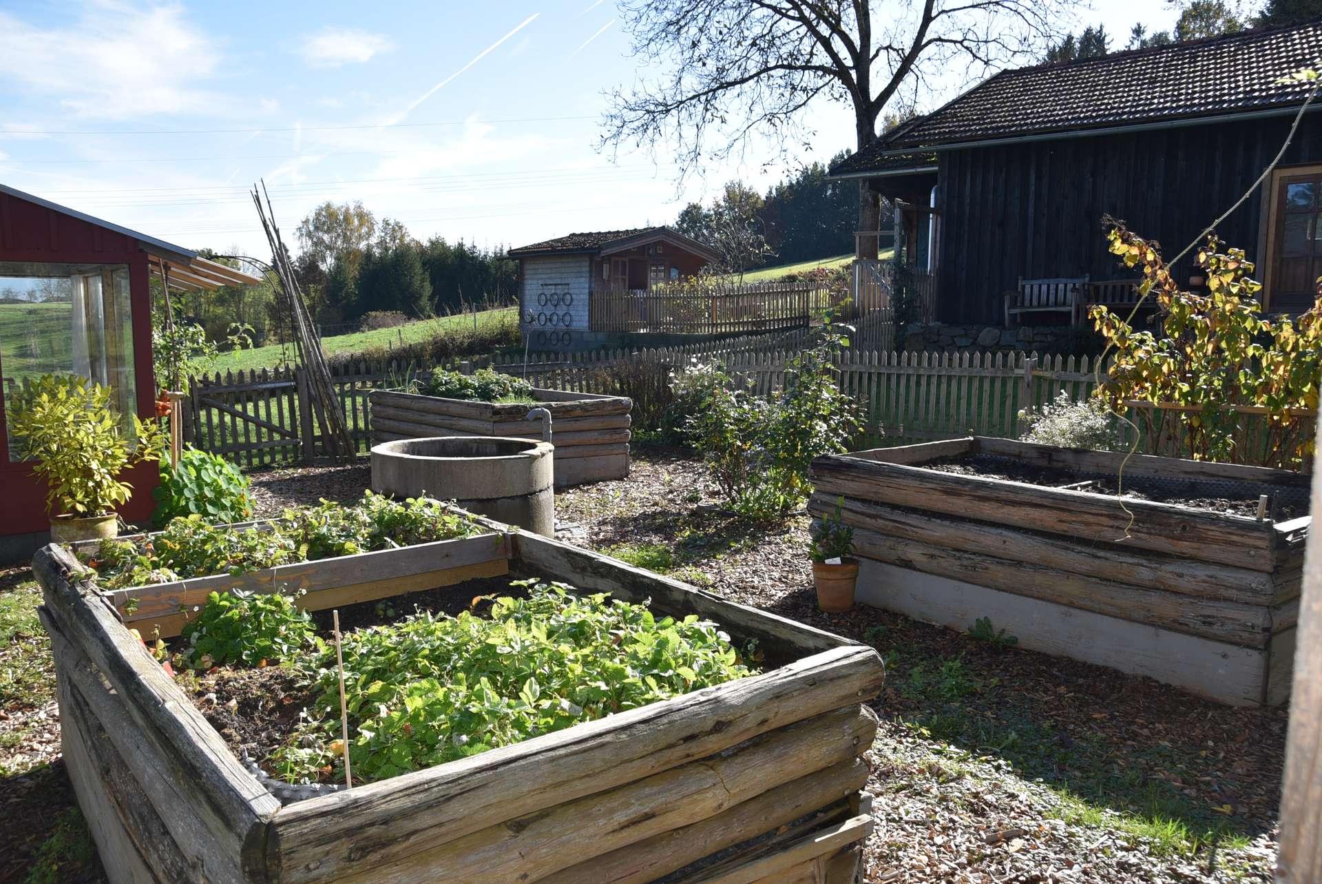 Gemüsegarten