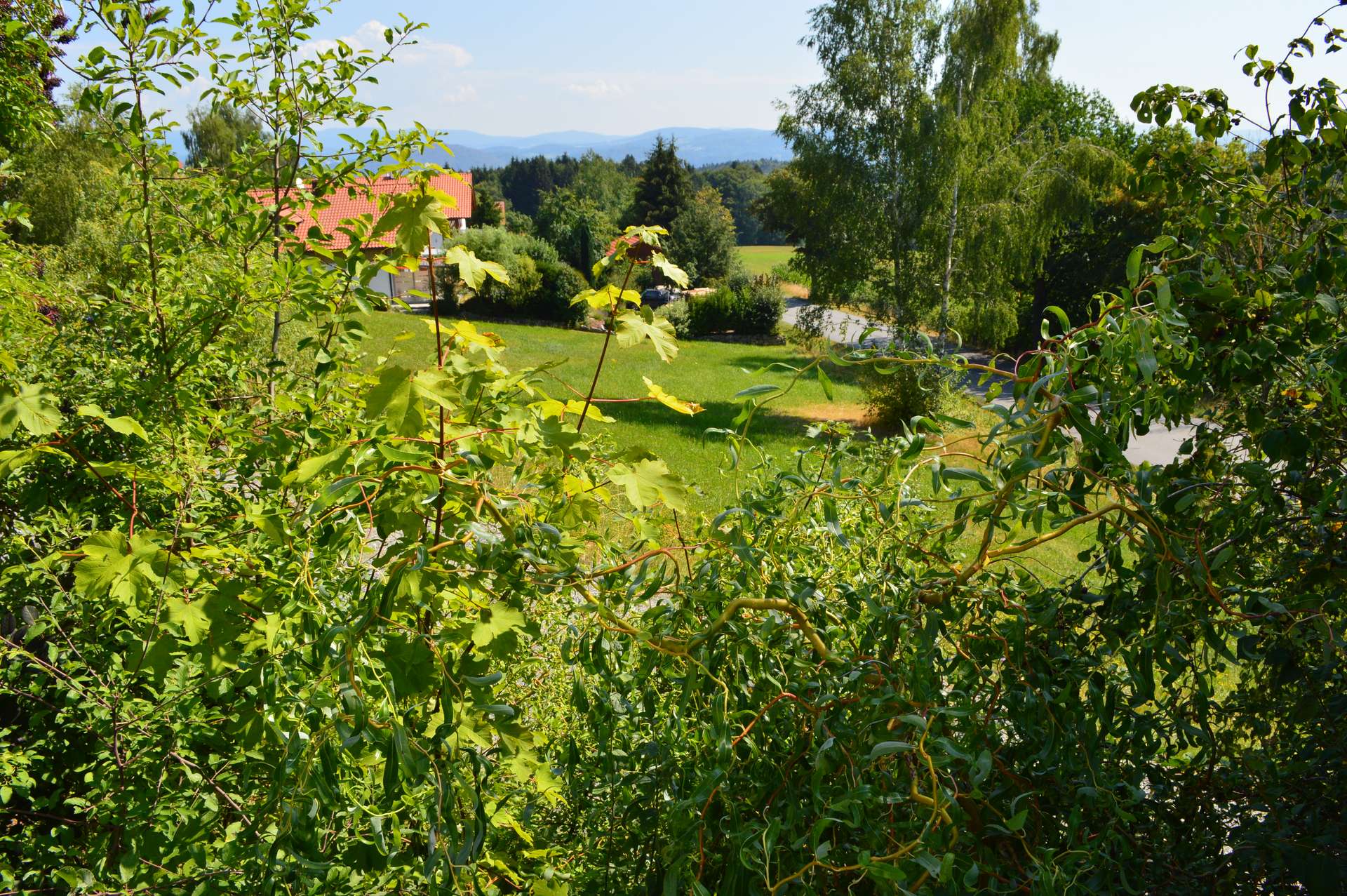 Aussicht