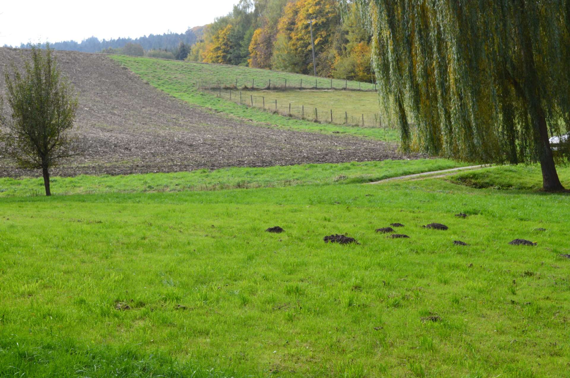 Ausblick