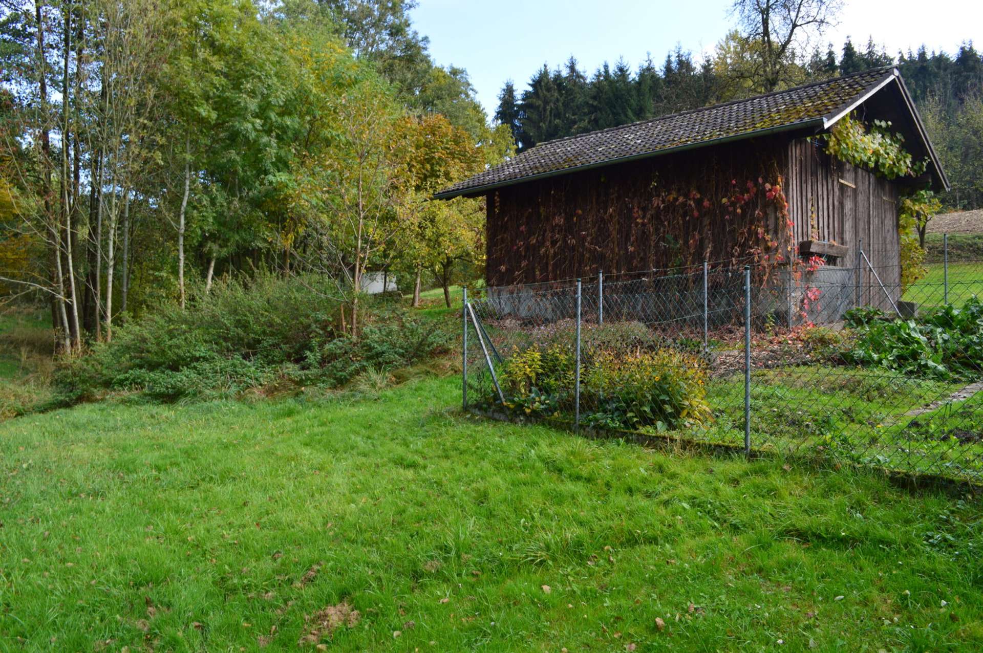 Garten