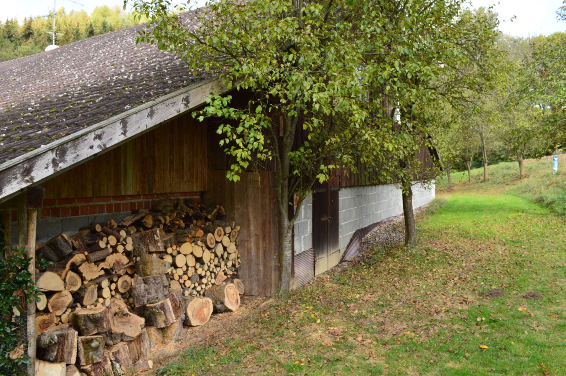 Rückansicht