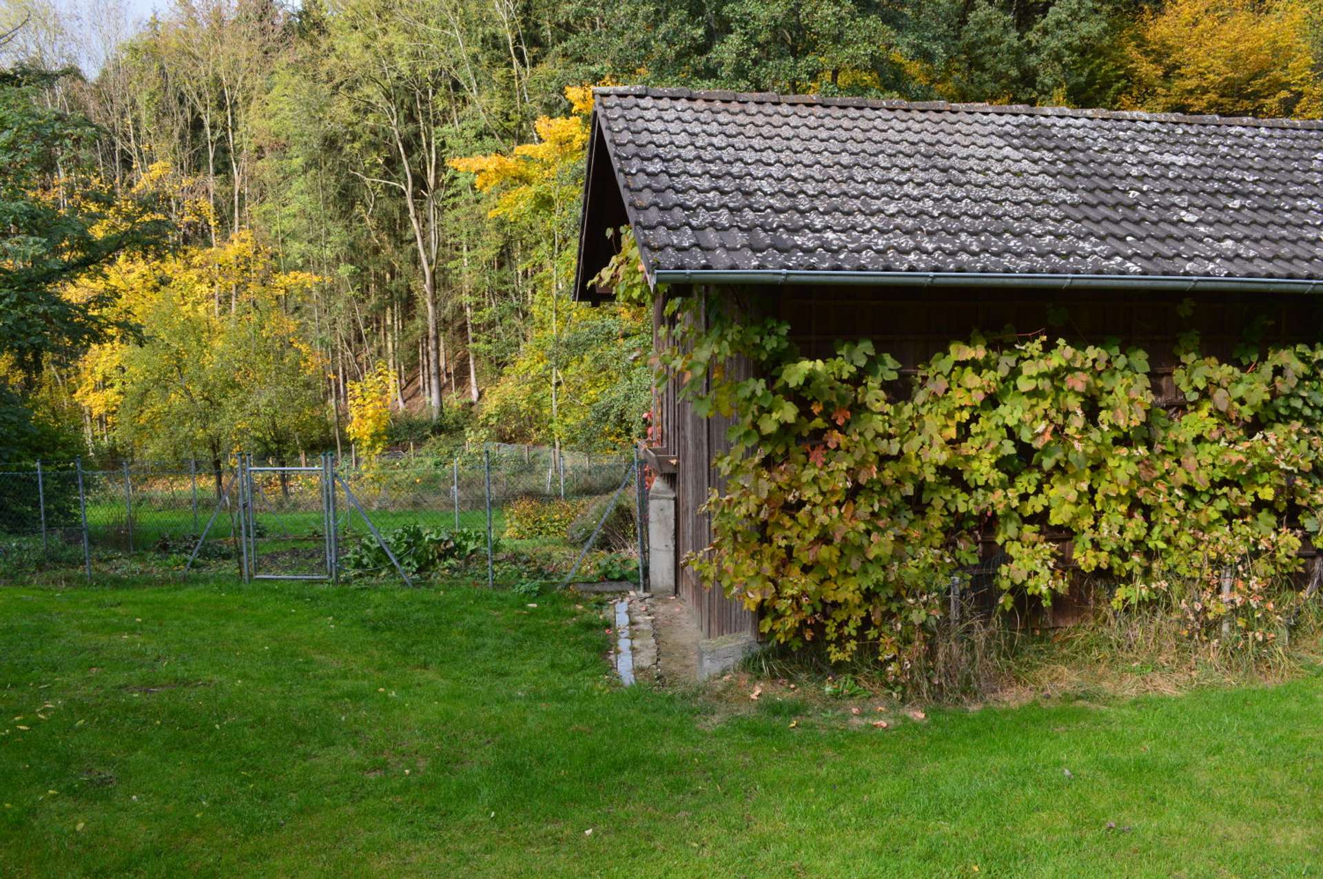 Garten und Nebengebäude