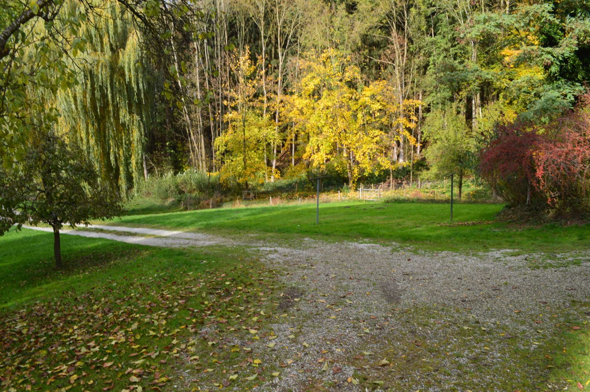 Garten