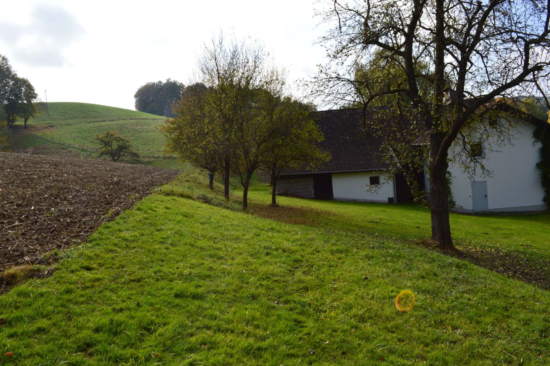 Ausblick