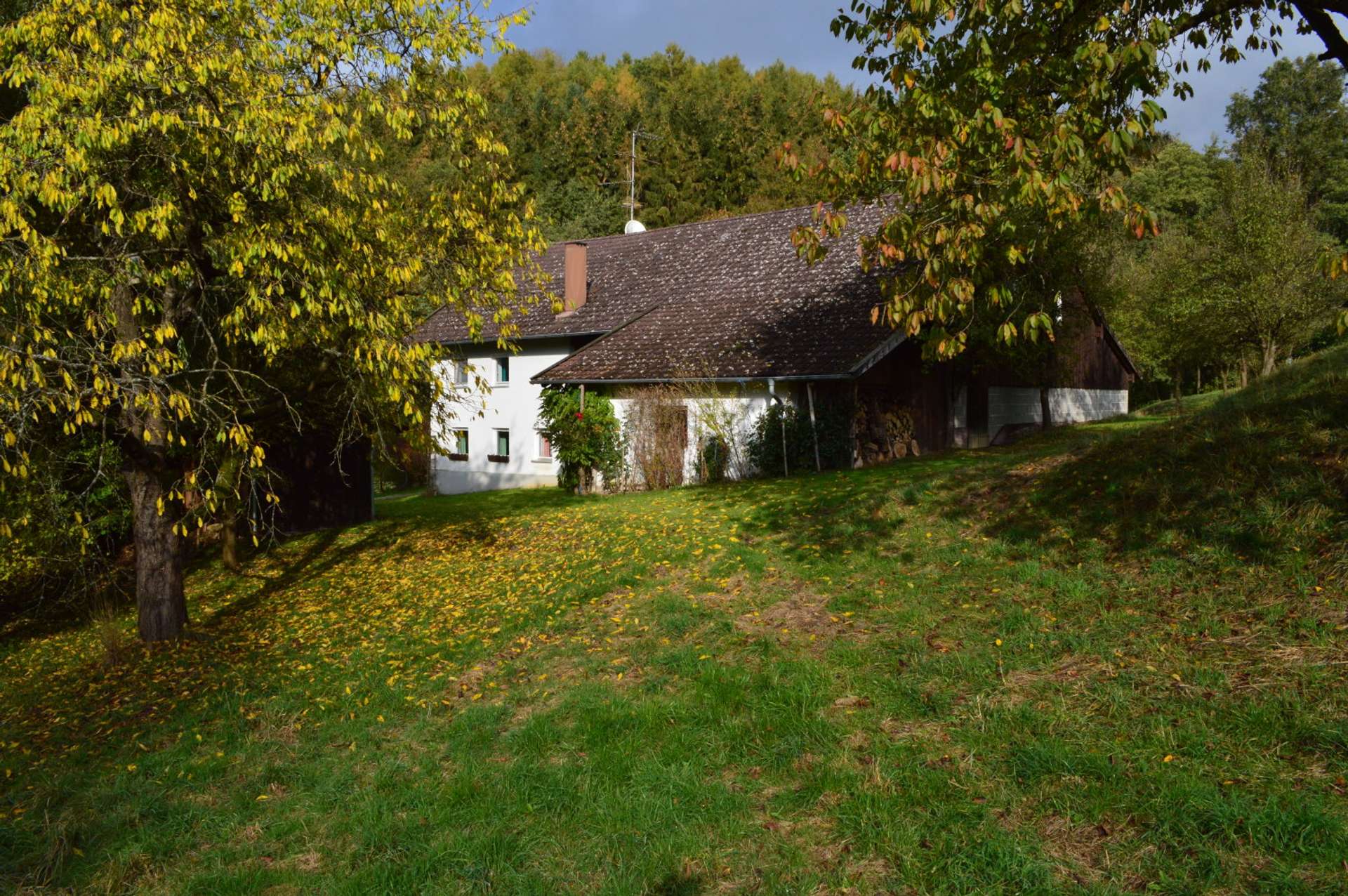 Hausansicht