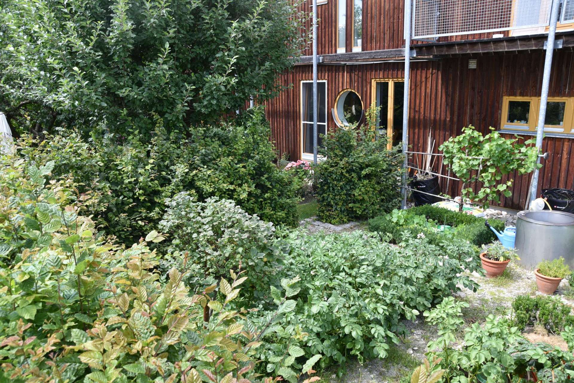Ansicht