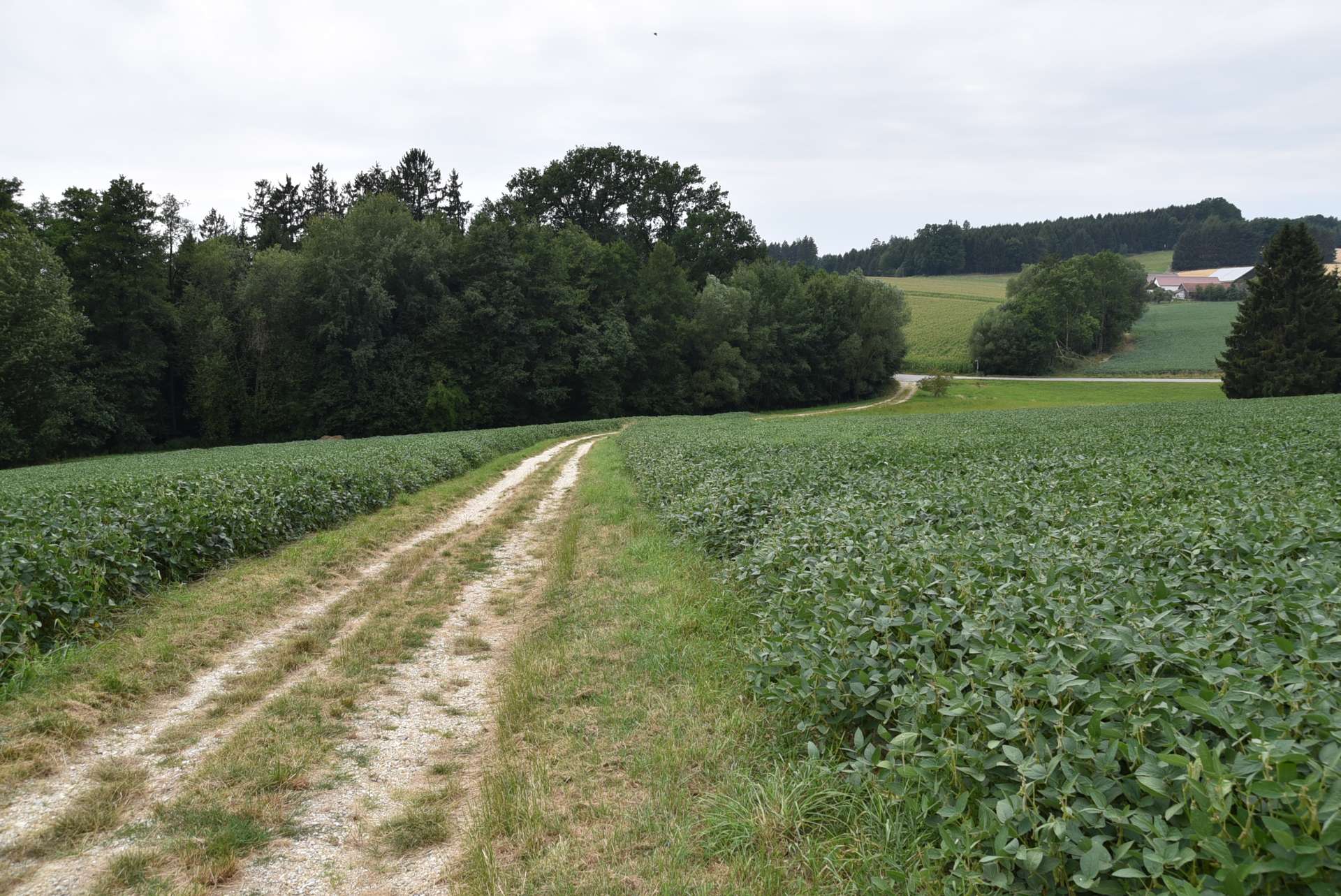 Zufahrtsweg