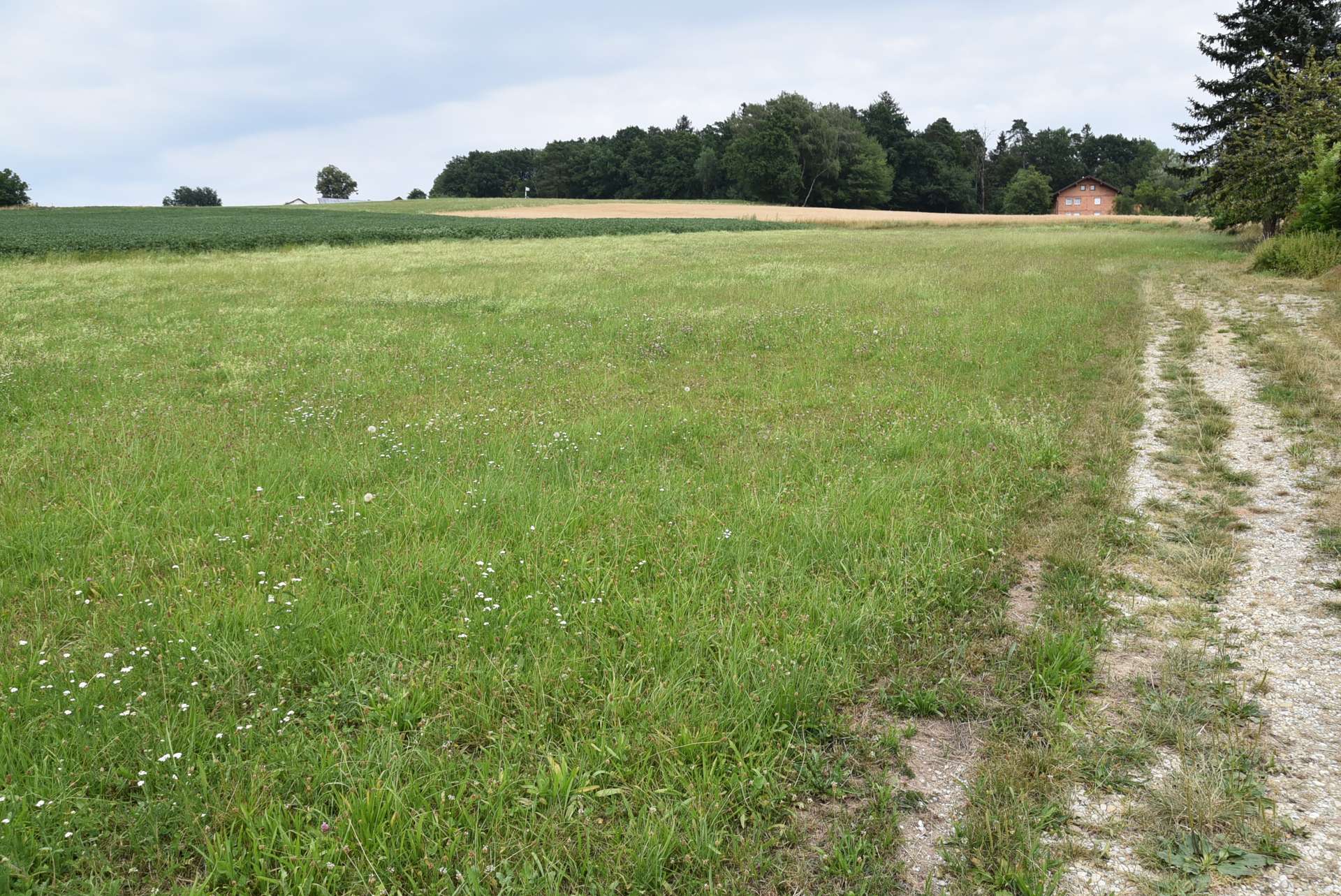 Umgebung