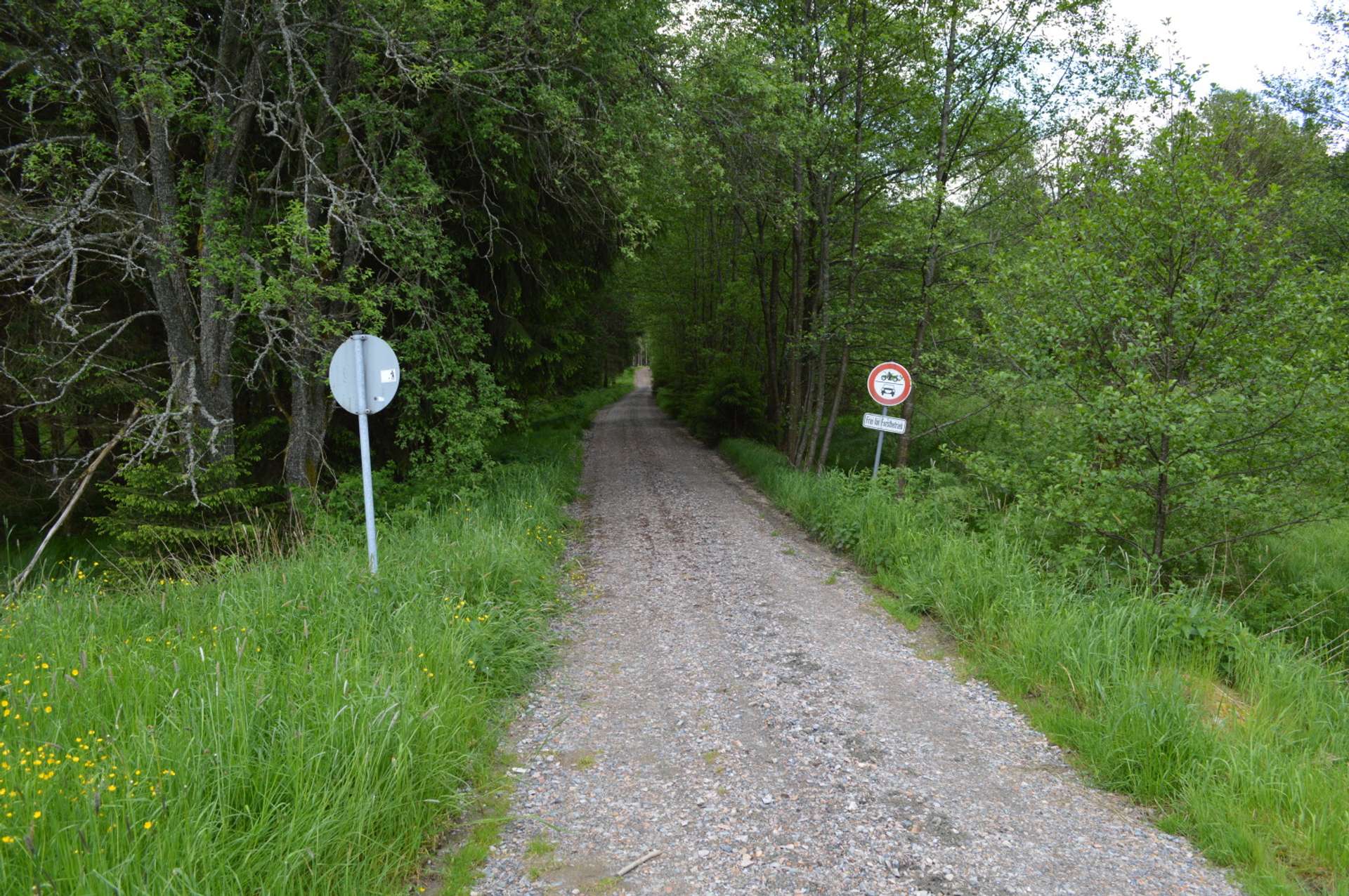 ein Wanderweg am Haus