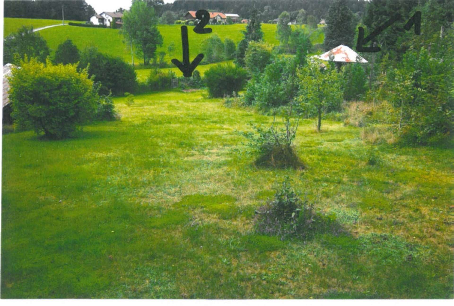 Garten 1