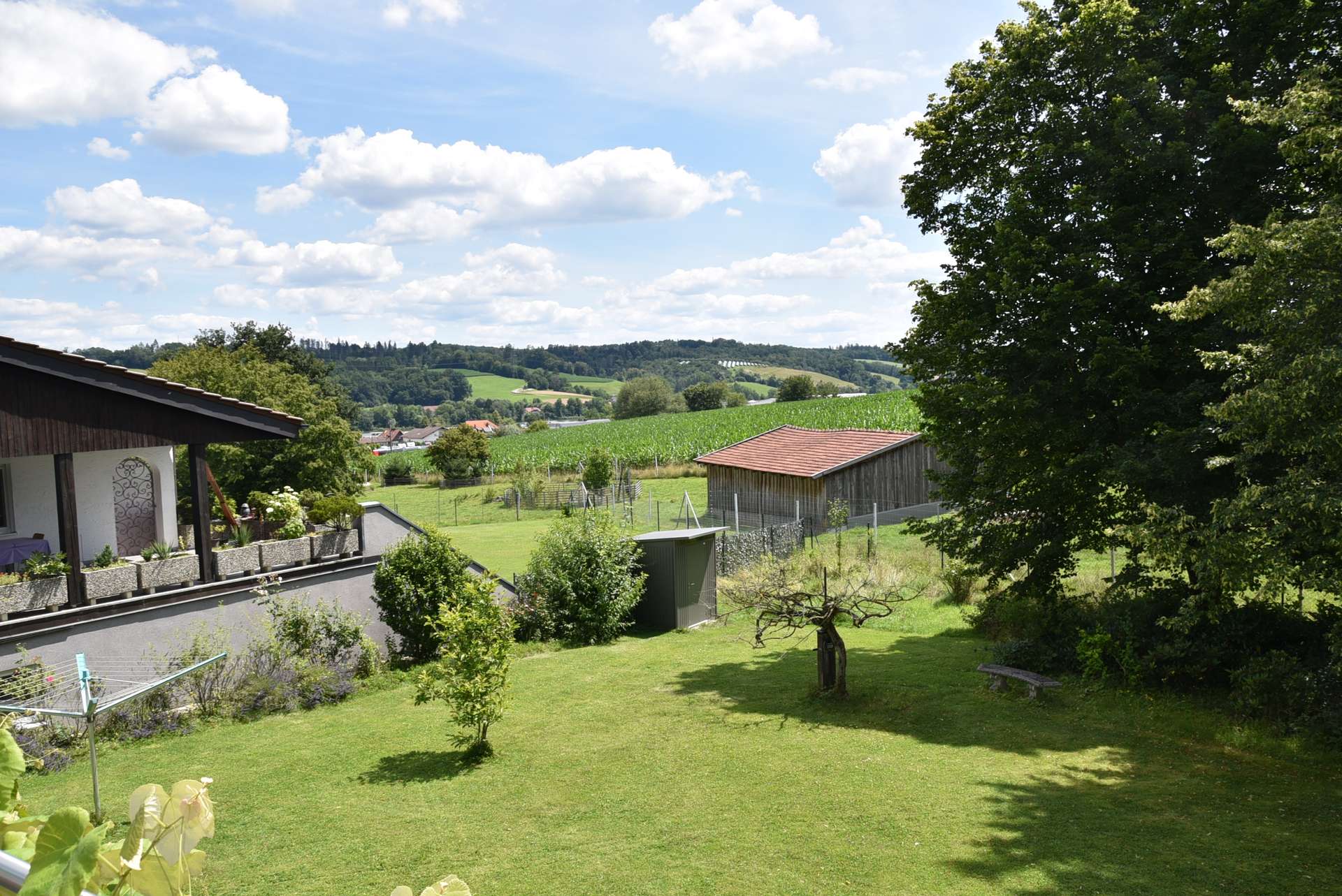 Ausblick