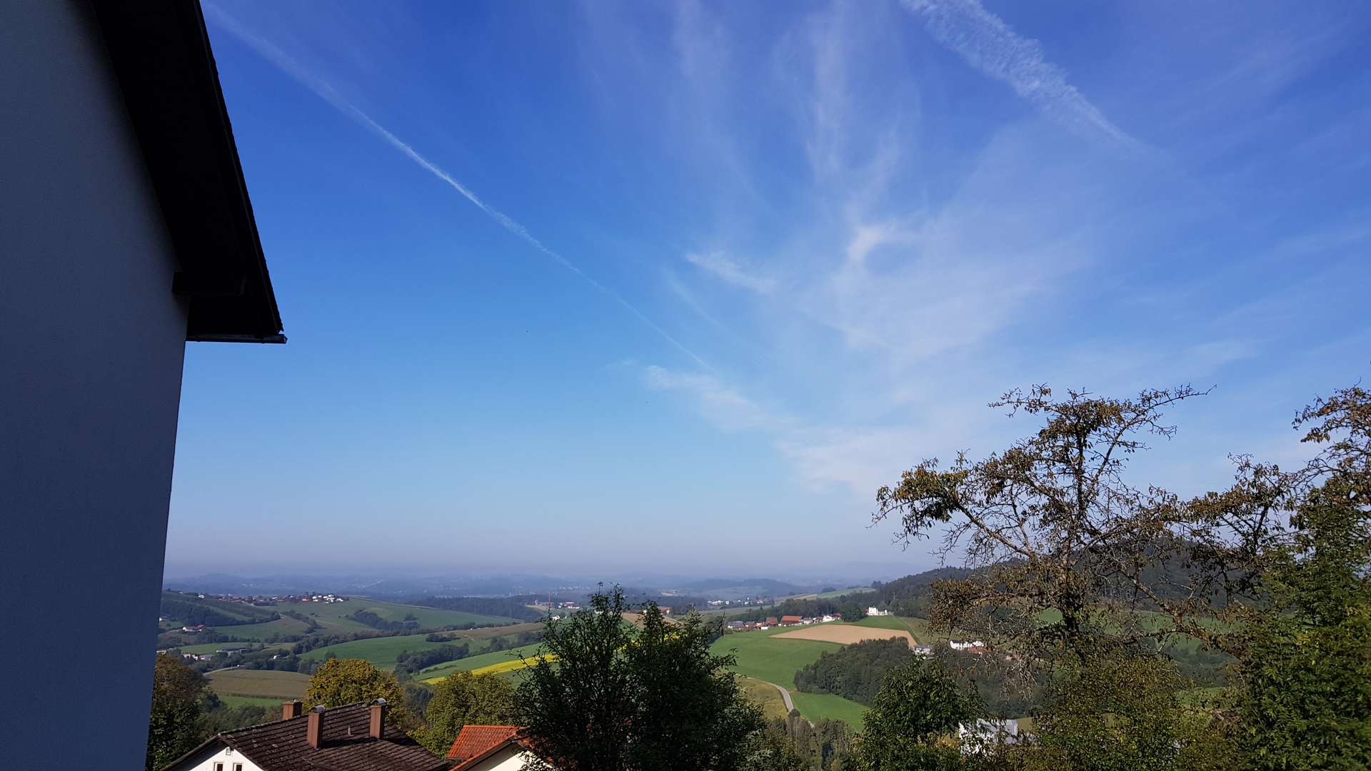 Ausblick