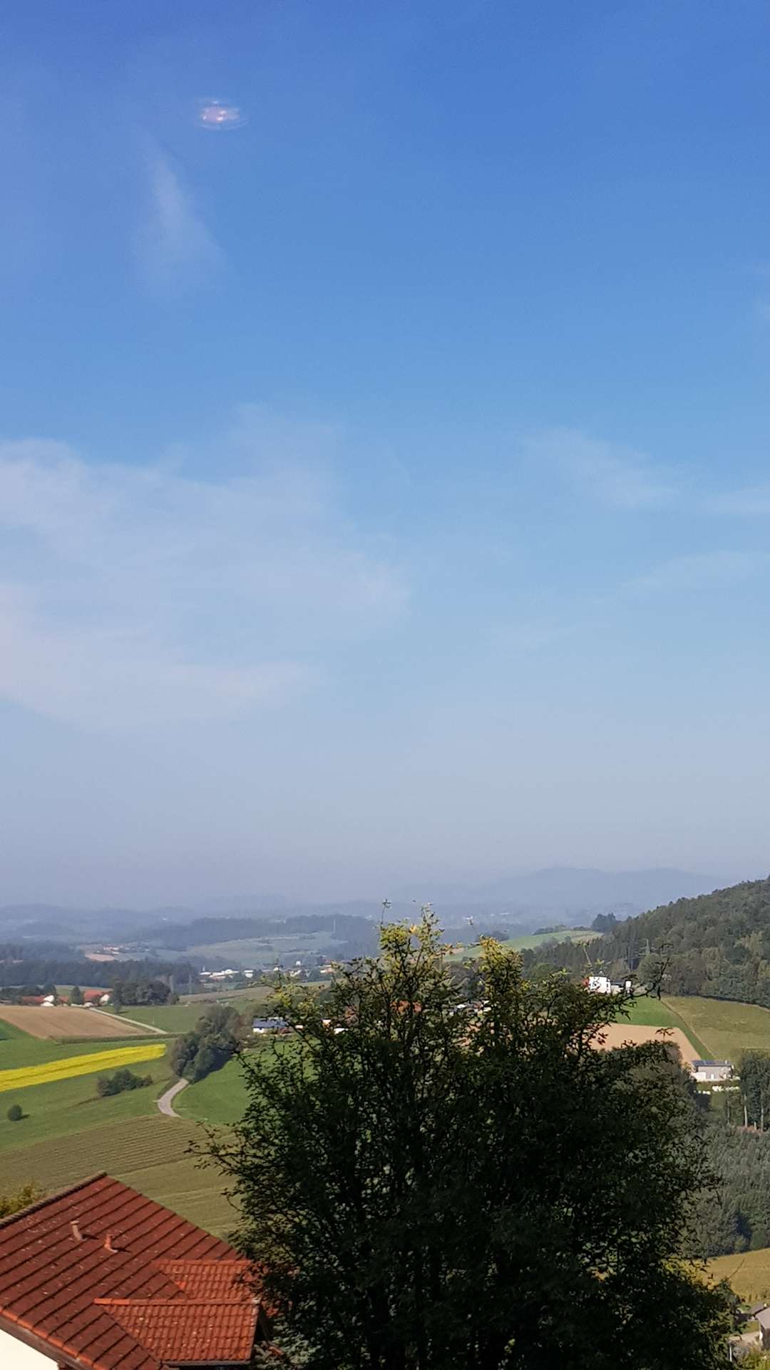 Ausblick