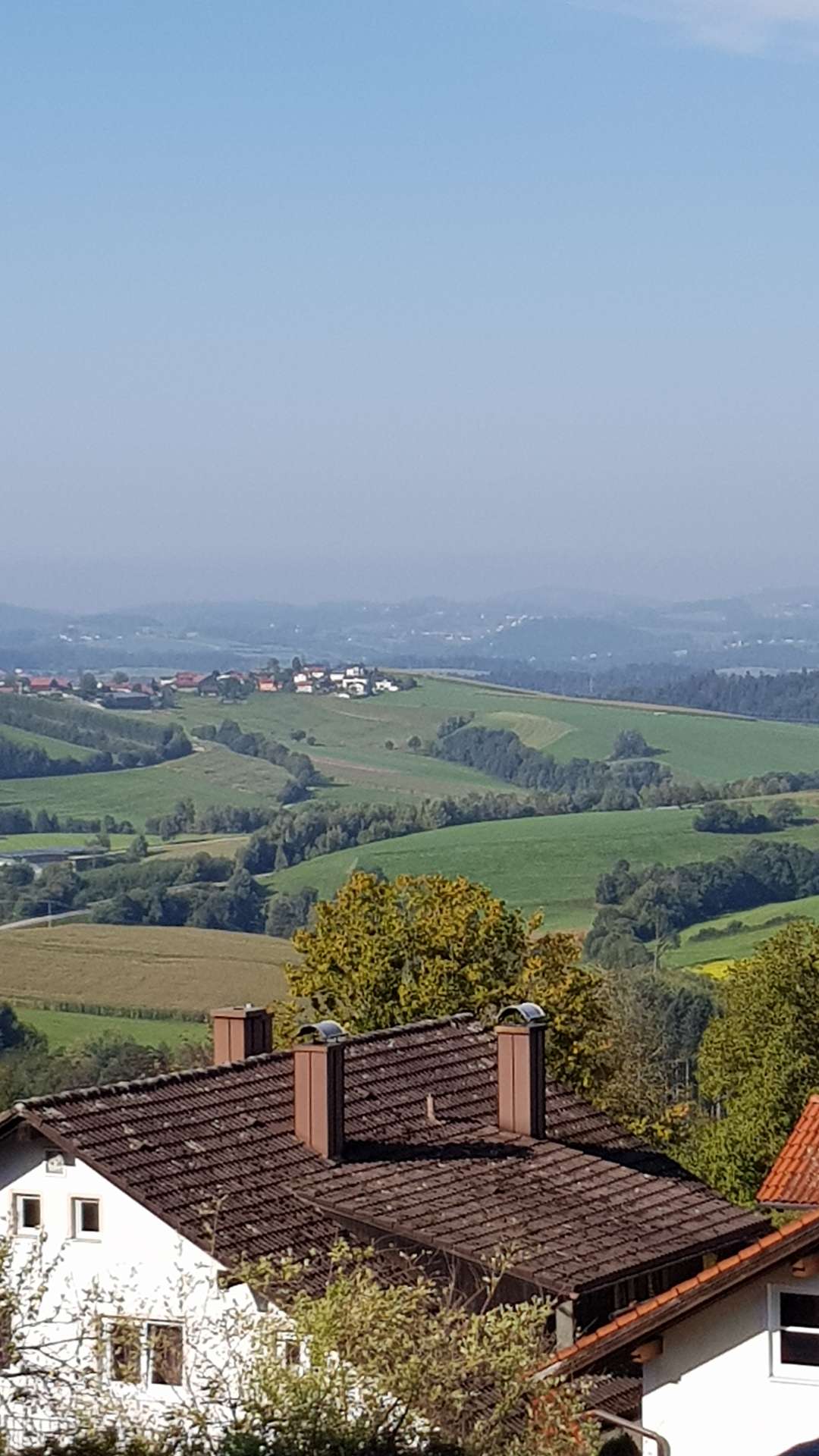 Ausblick
