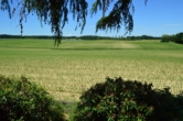 Freier Blick über Felder - VERKAUFT!!! Sehr schönes Einfamilienhaus in einer der schönsten Lagen Ruhstorfs