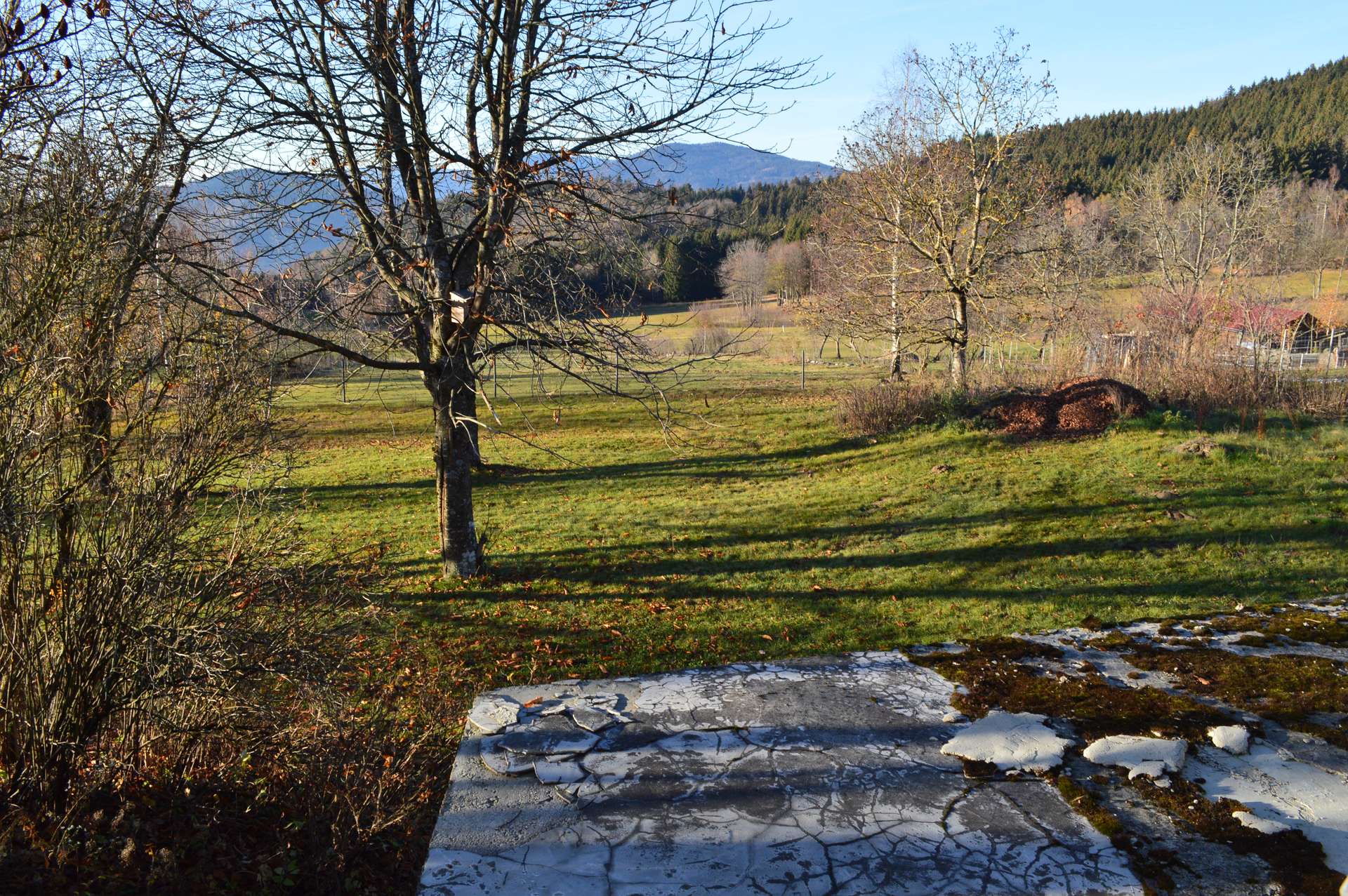Ausblick