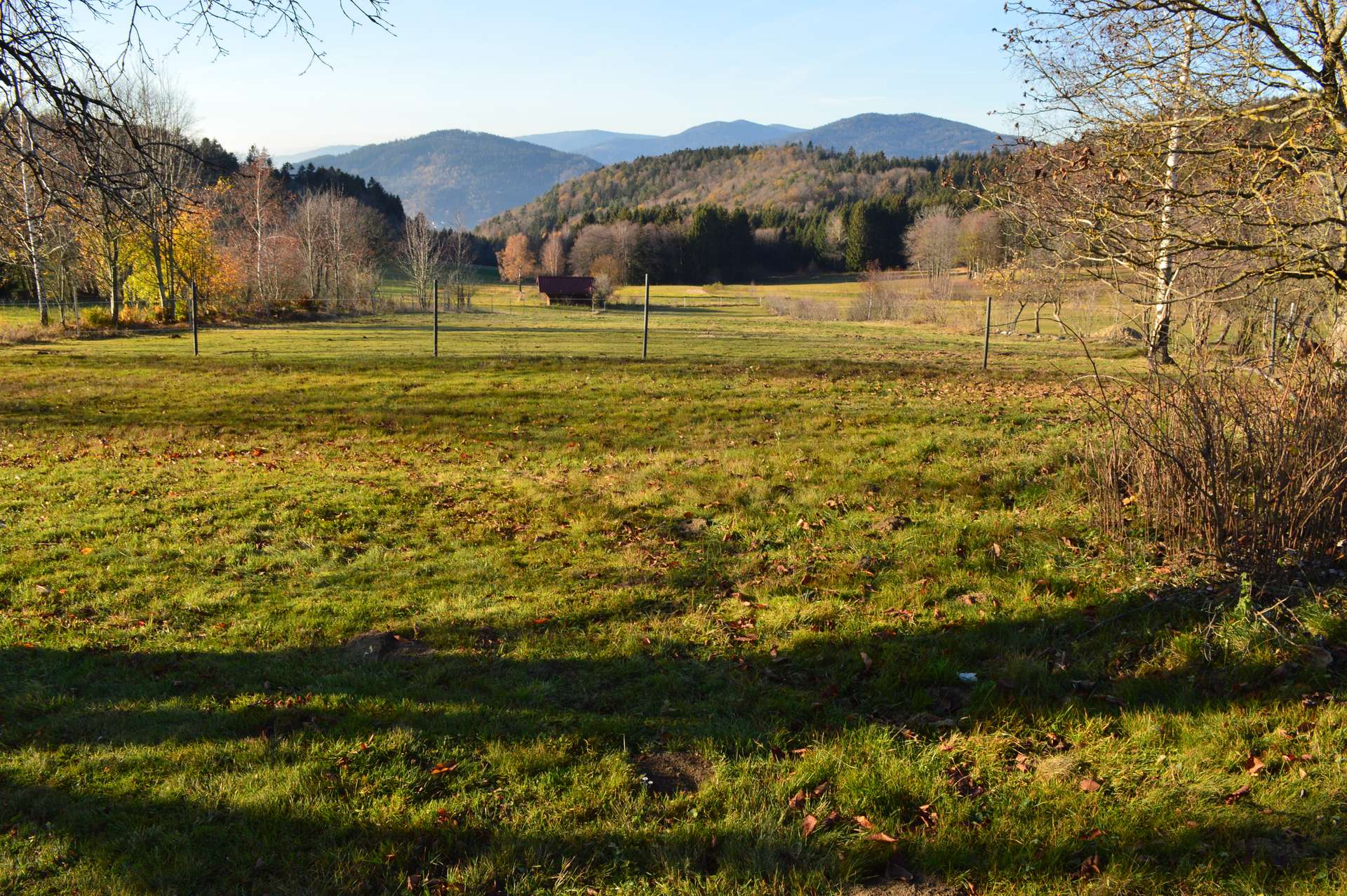 Ausblick und Koppel