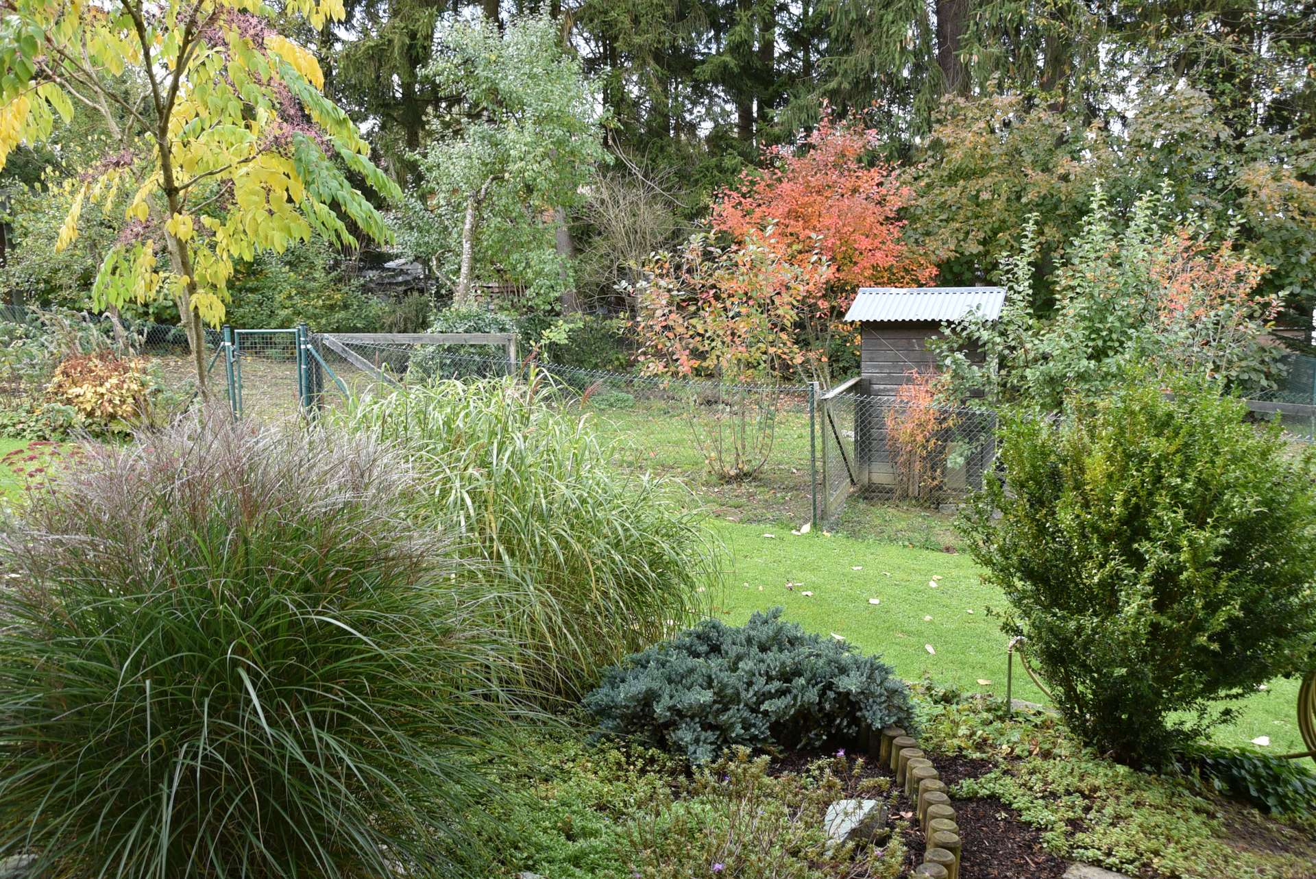 DSC_1795