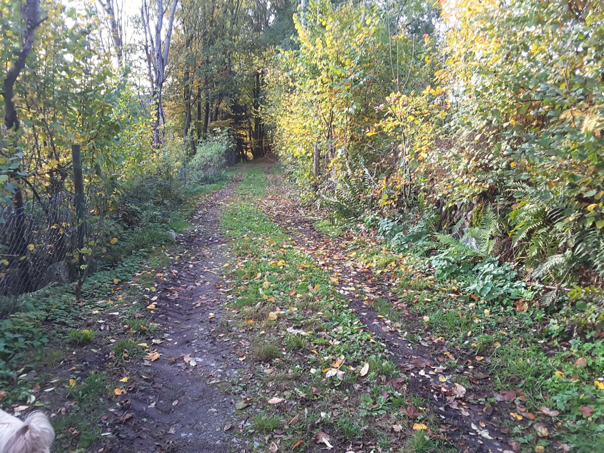 20191017_090038_resized