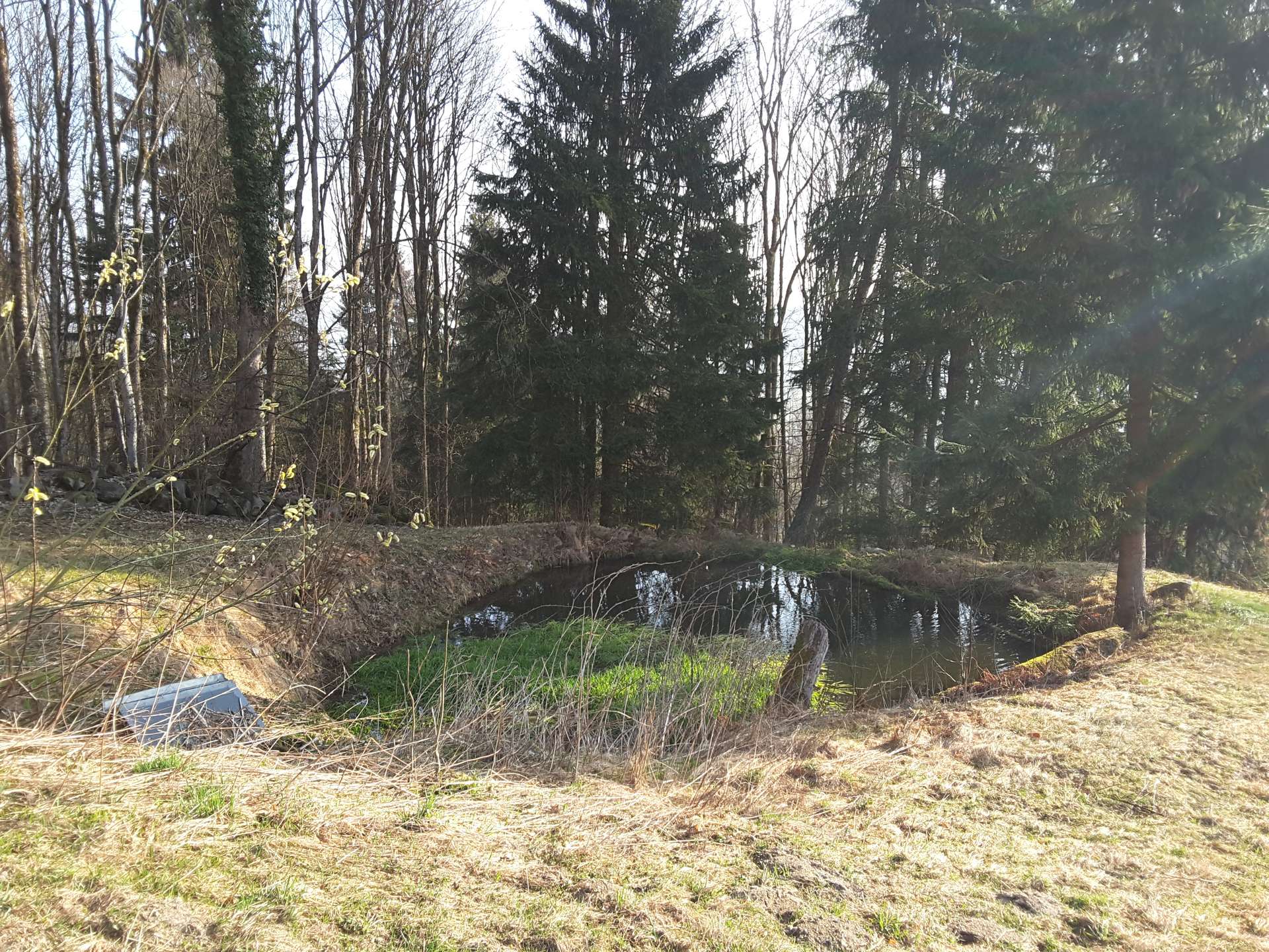 20190324_080343