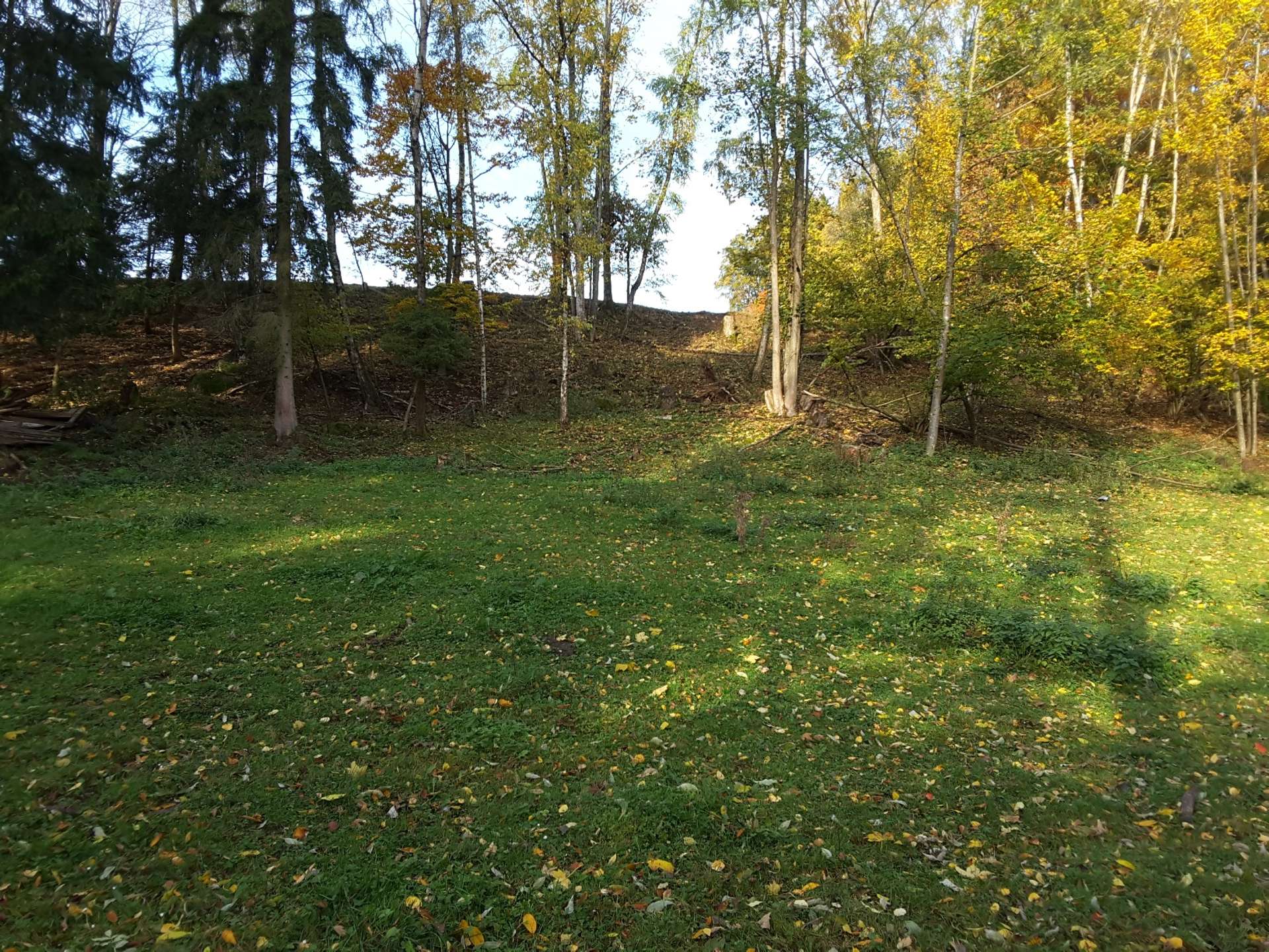 20191017_085853_resized