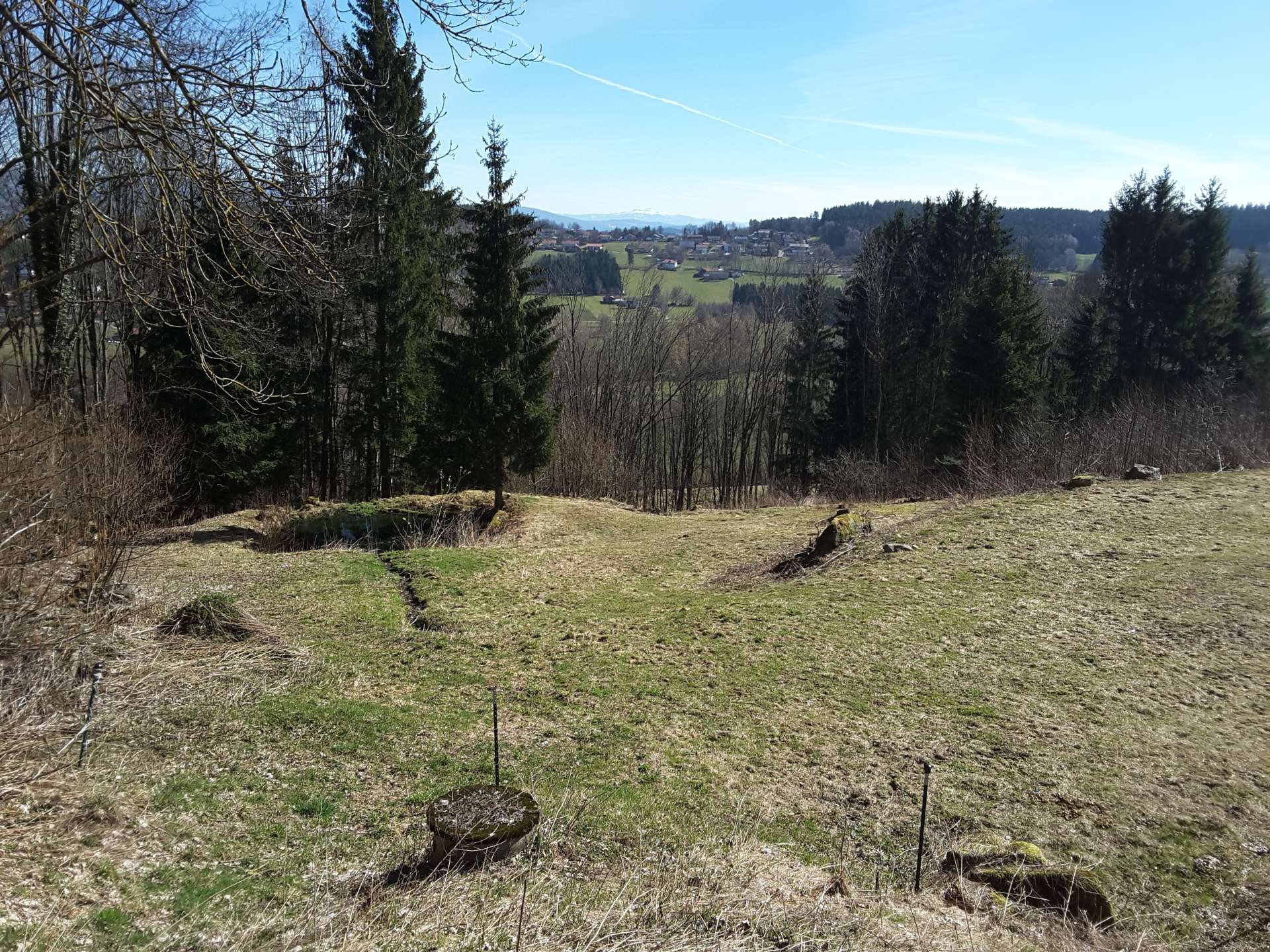 20190321_105912