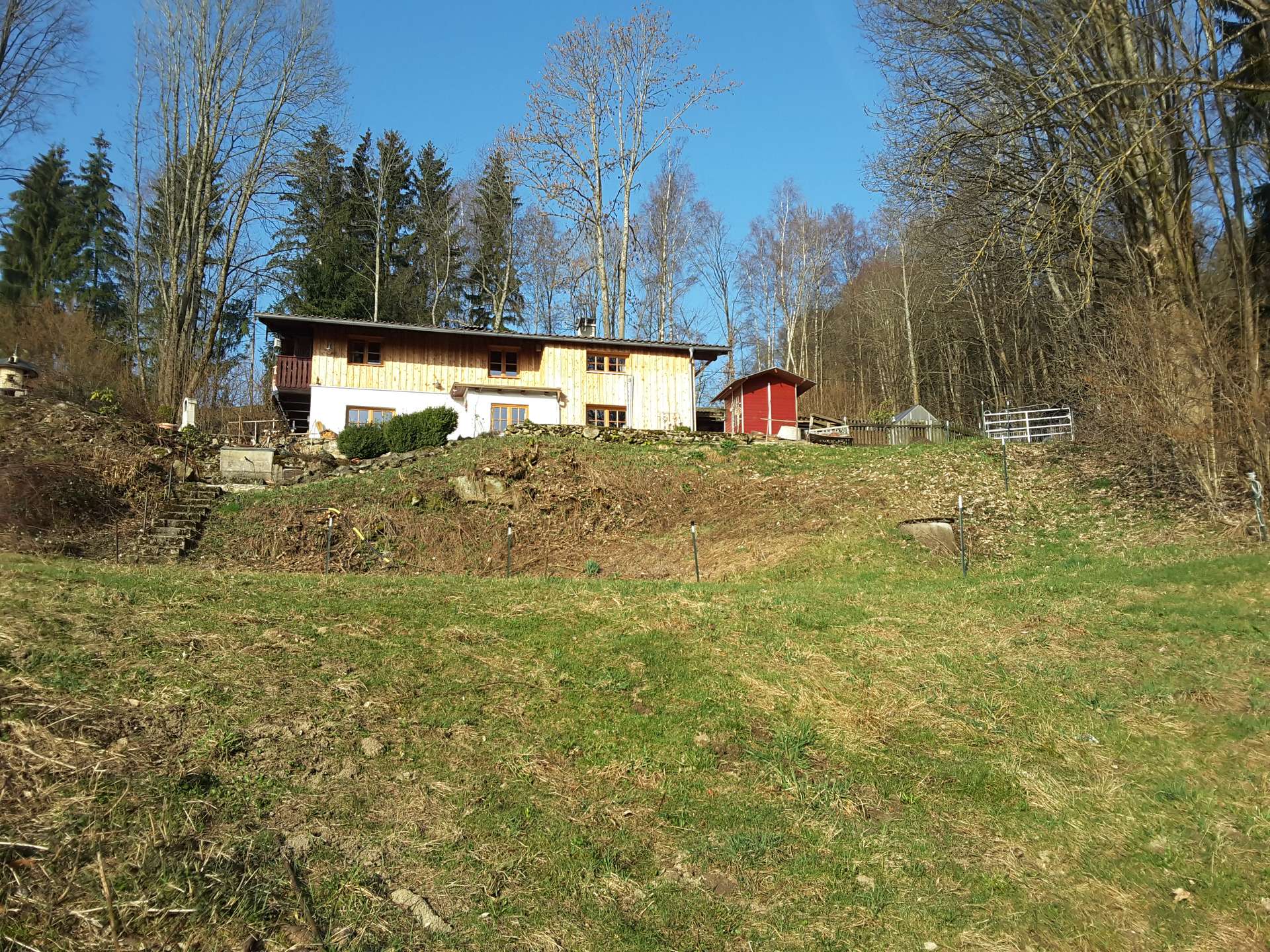 20190324_080306_001