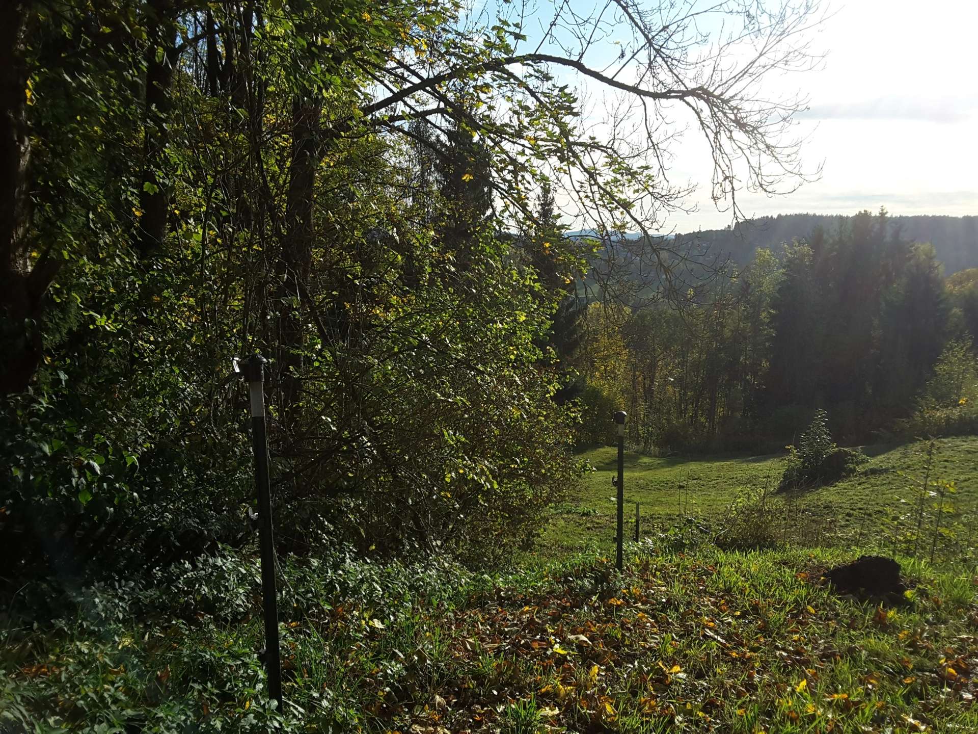 20191017_090708_resized