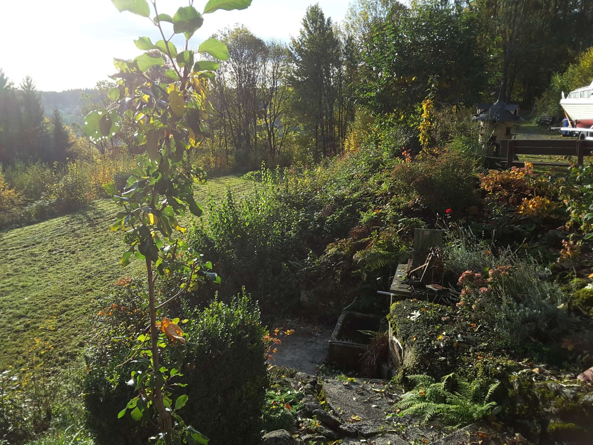 20191017_090741_resized