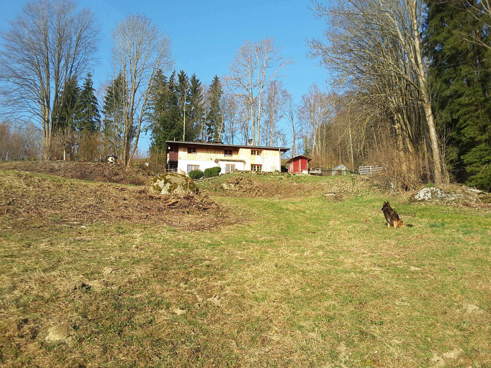 20190324_080410