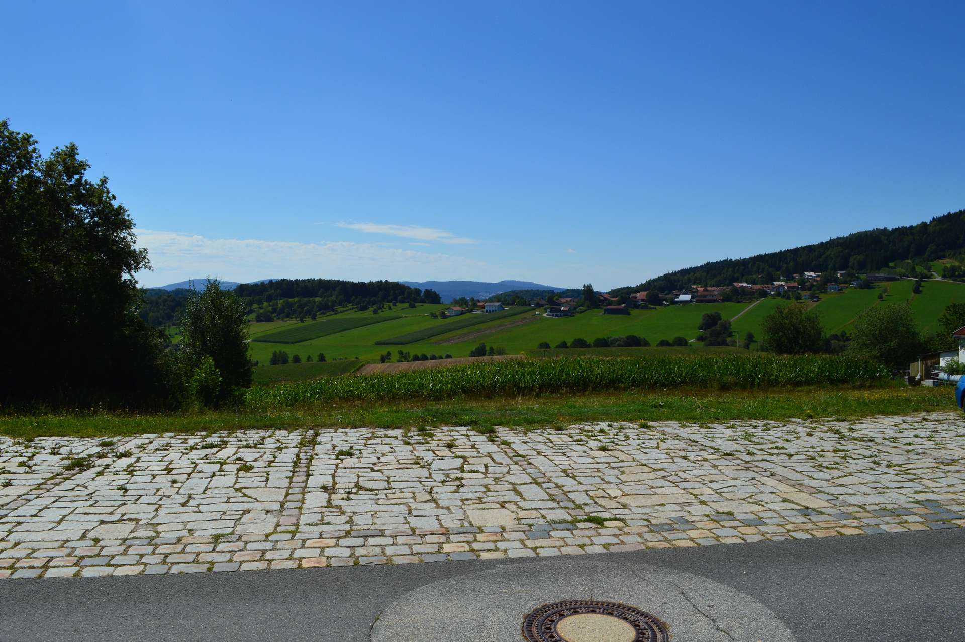 Ausblick