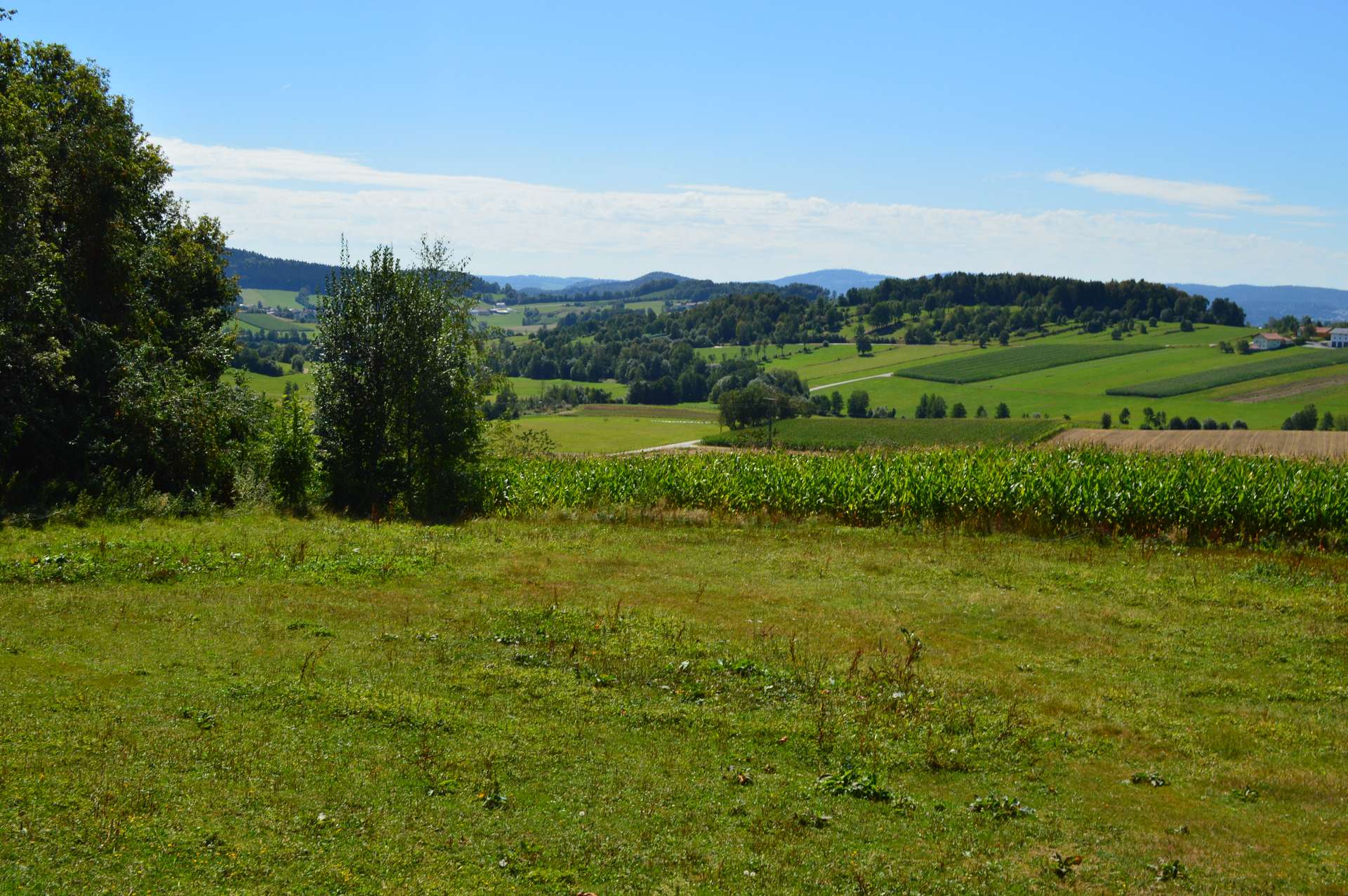 Ausblick