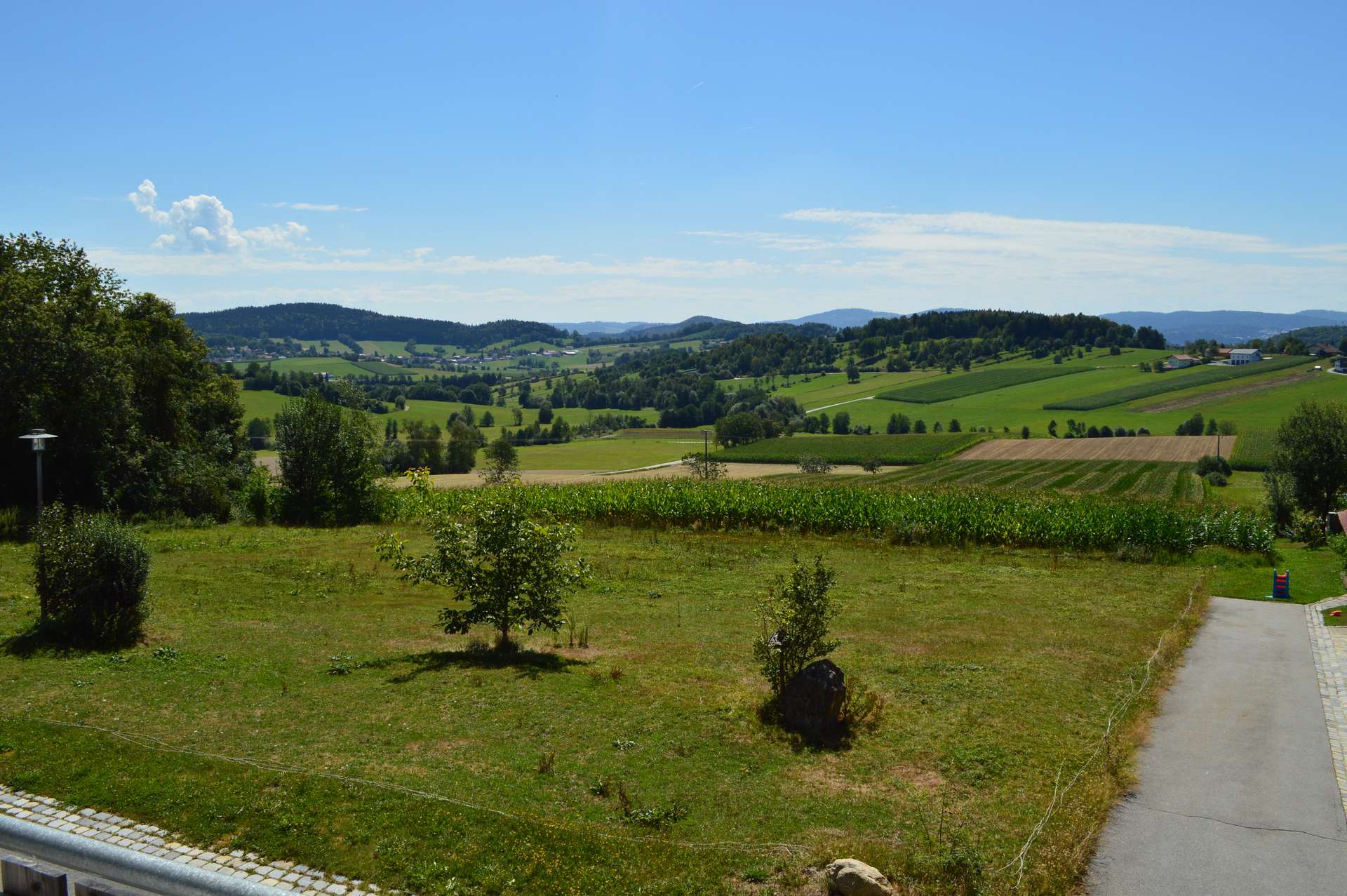 Ausblick