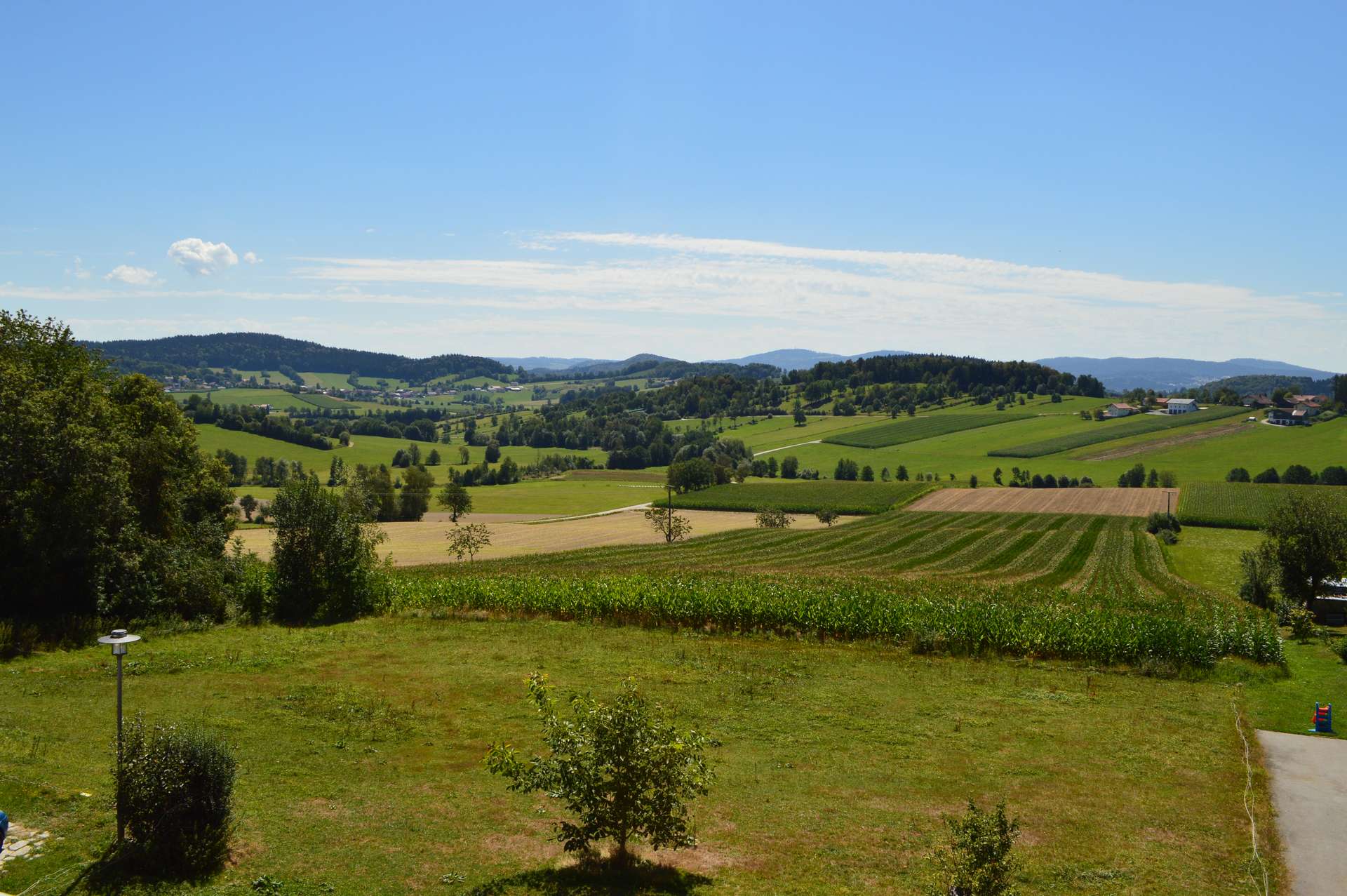 Ausblick