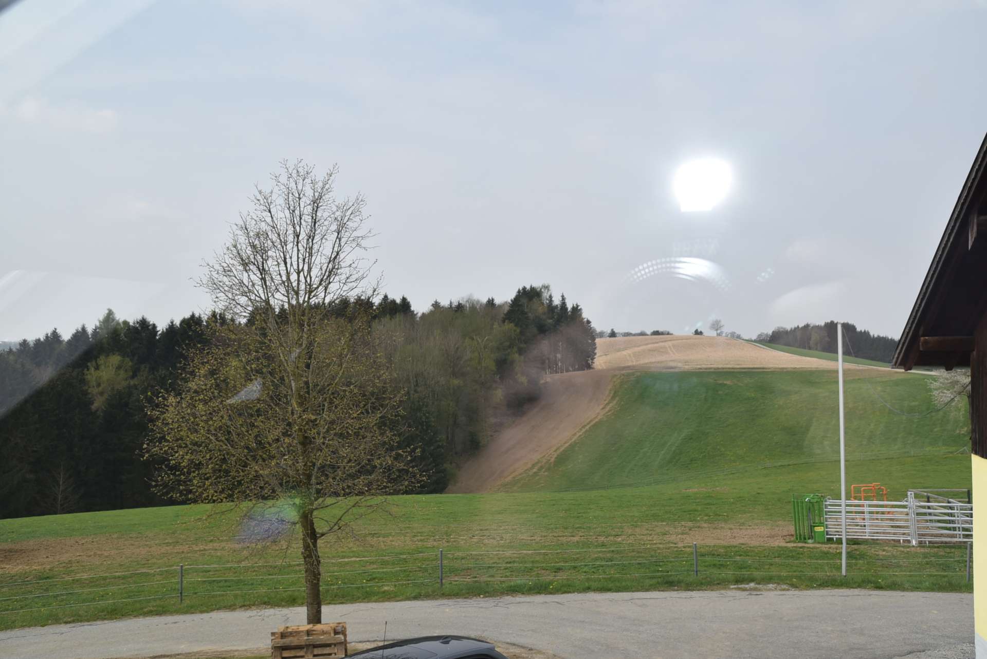 DSC_0551