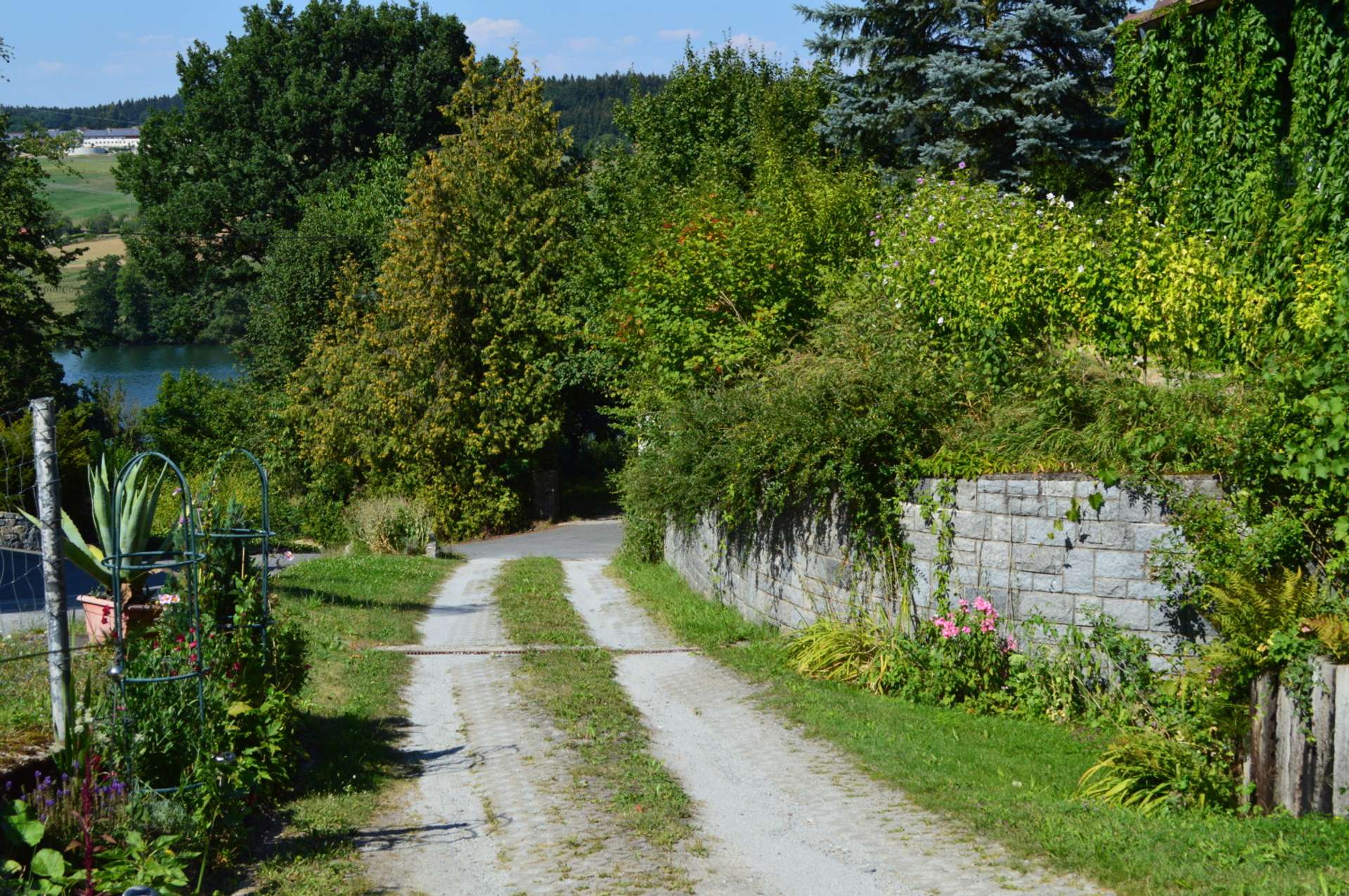 DSC_0651