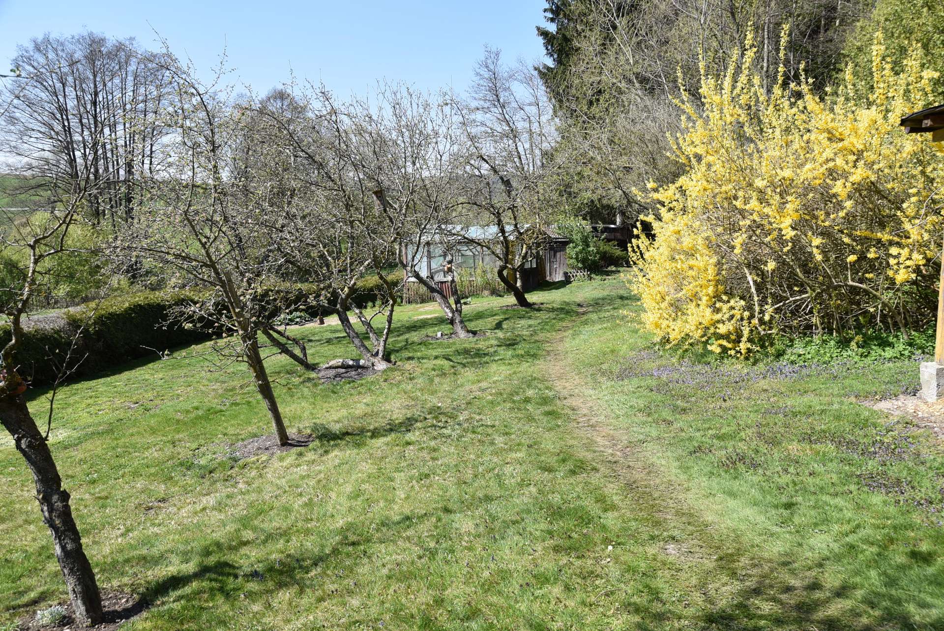 Garten