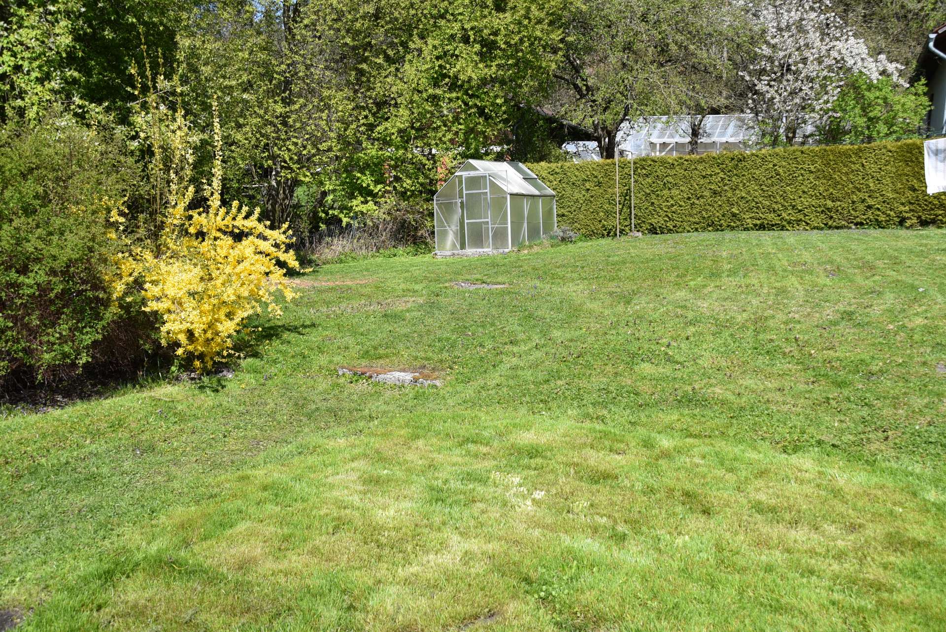 Gewächshaus