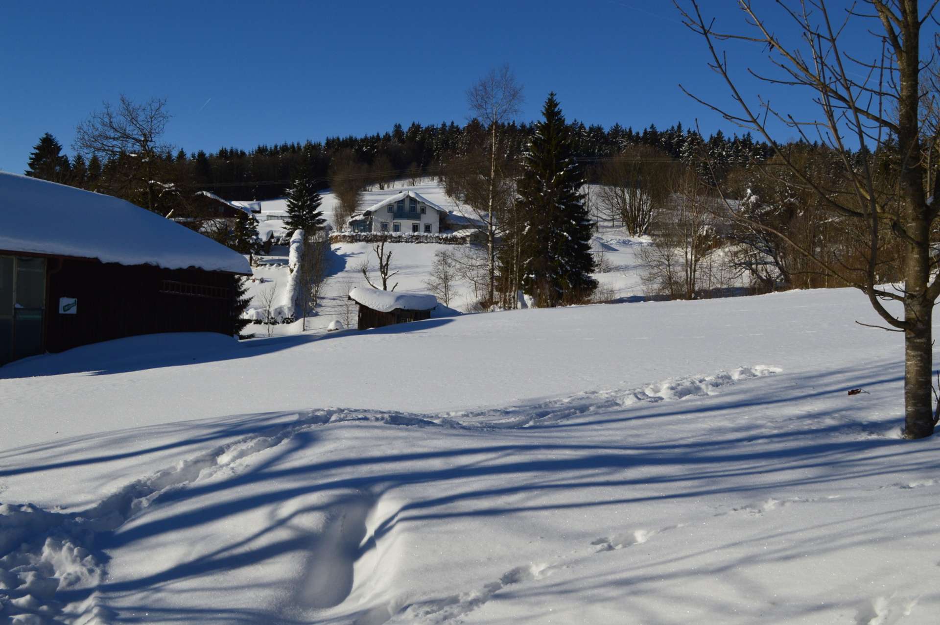 Garten