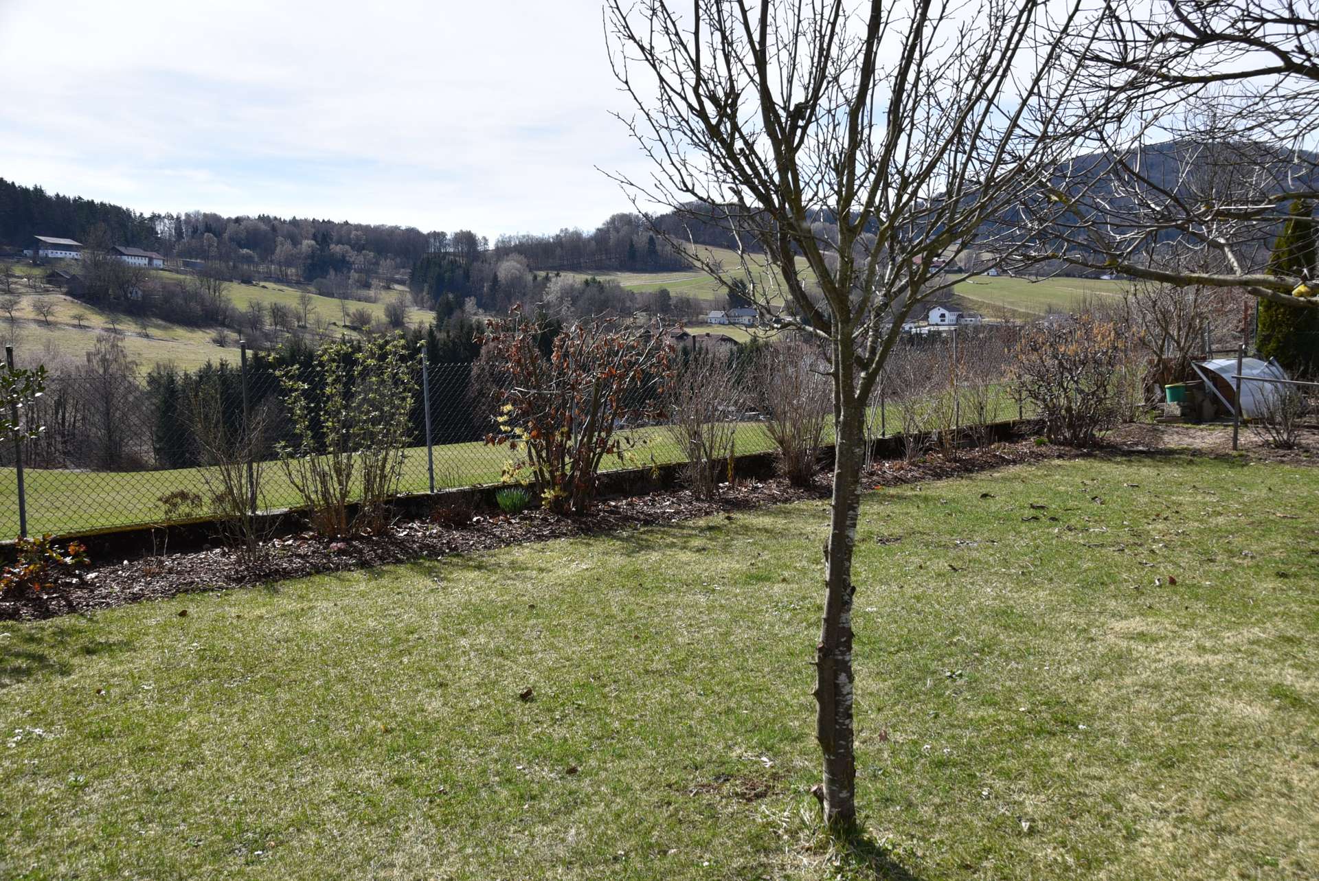 Ausblick